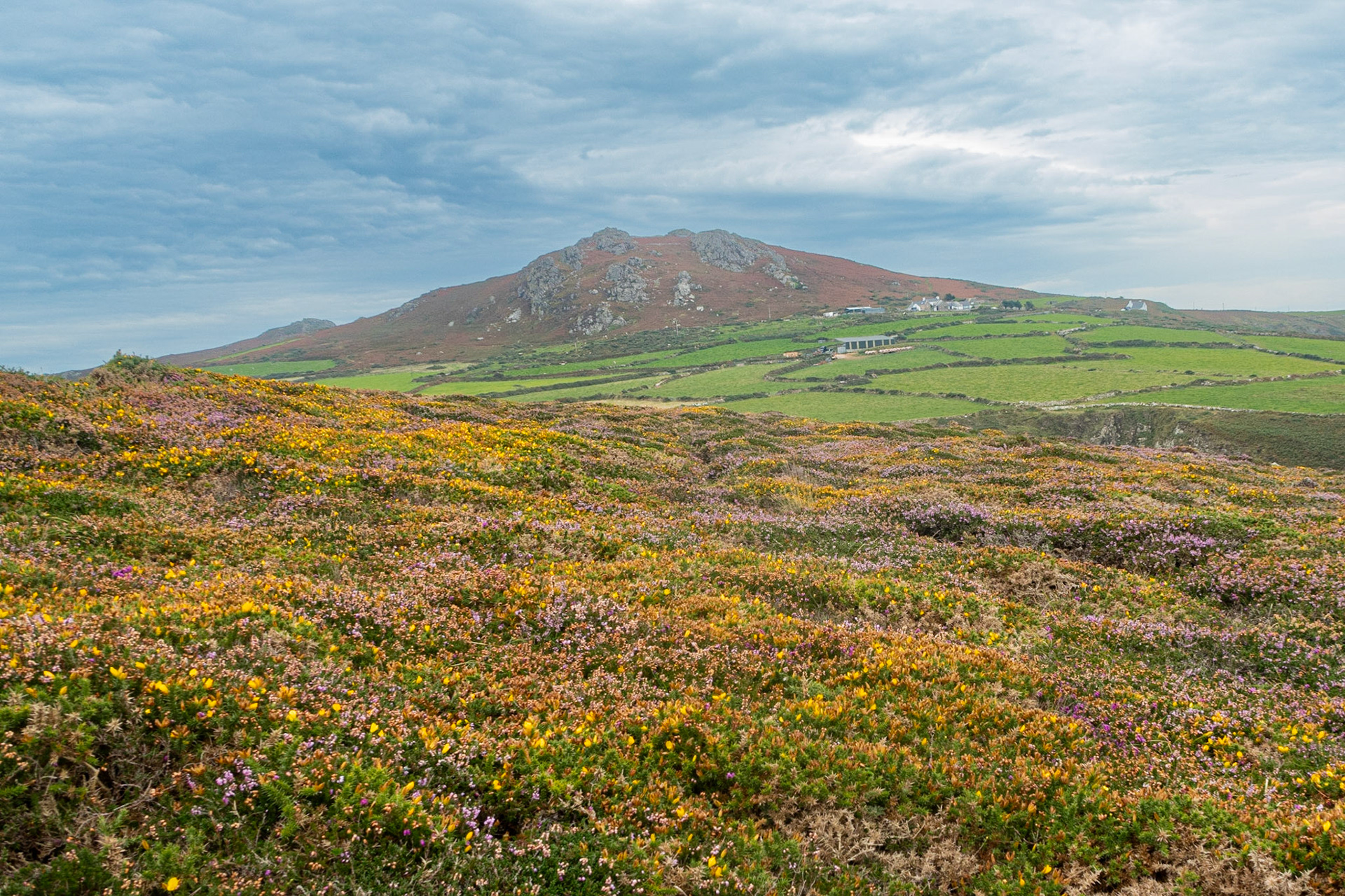 Hillfort overlooking Pwllperi