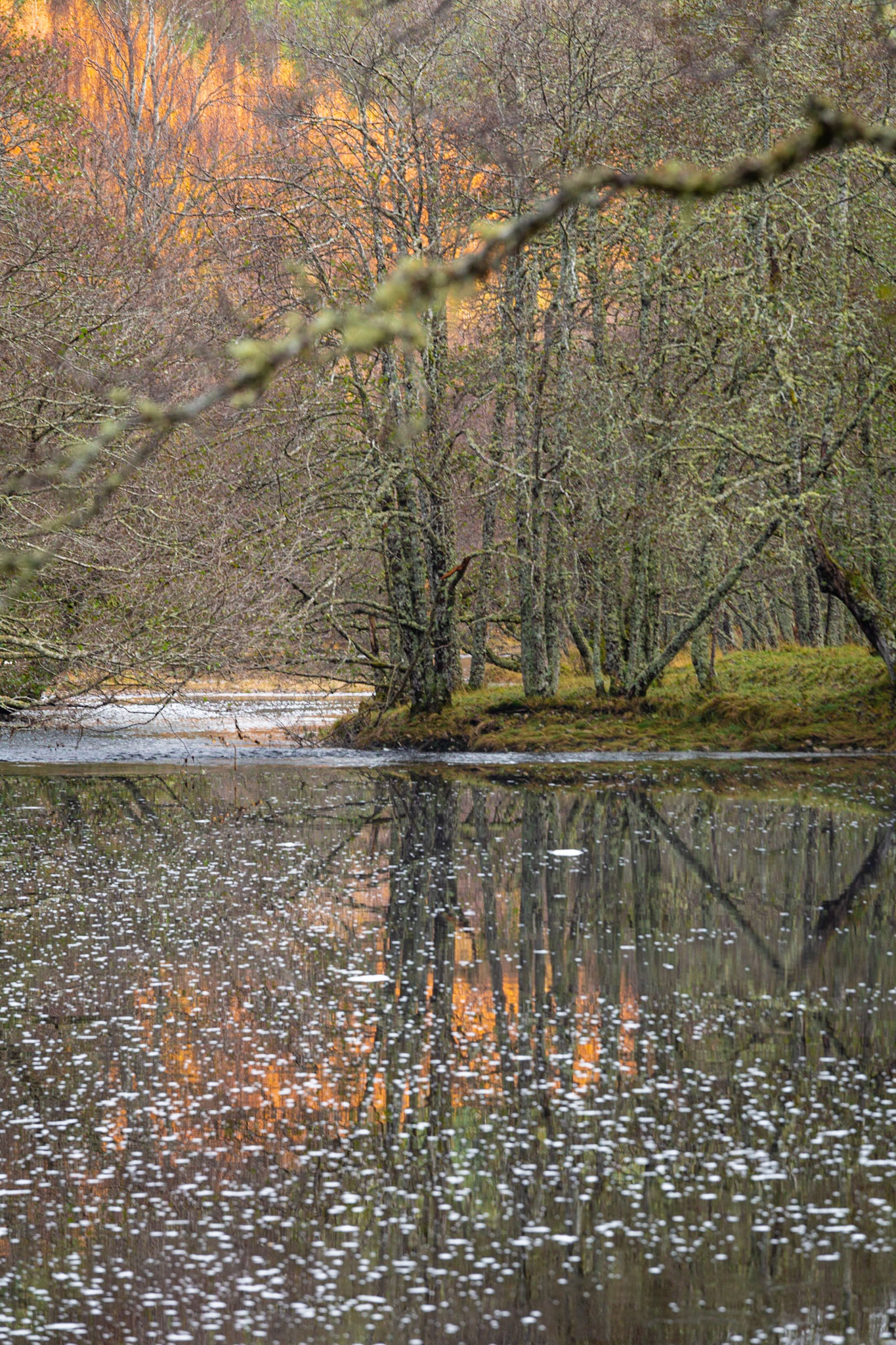 Forest fire, Loch Craskie, Glen Cannich