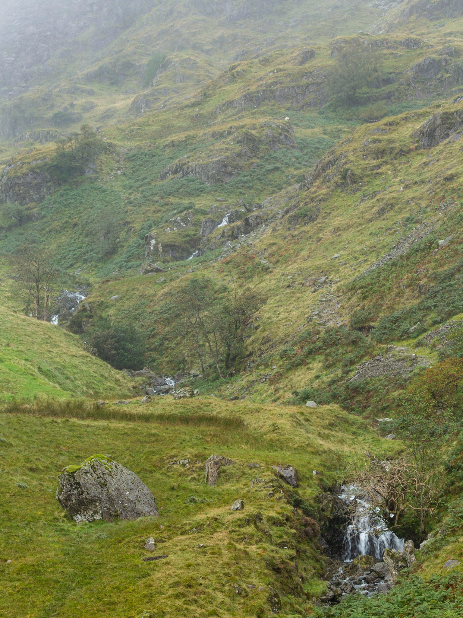 Looking up Dovedale