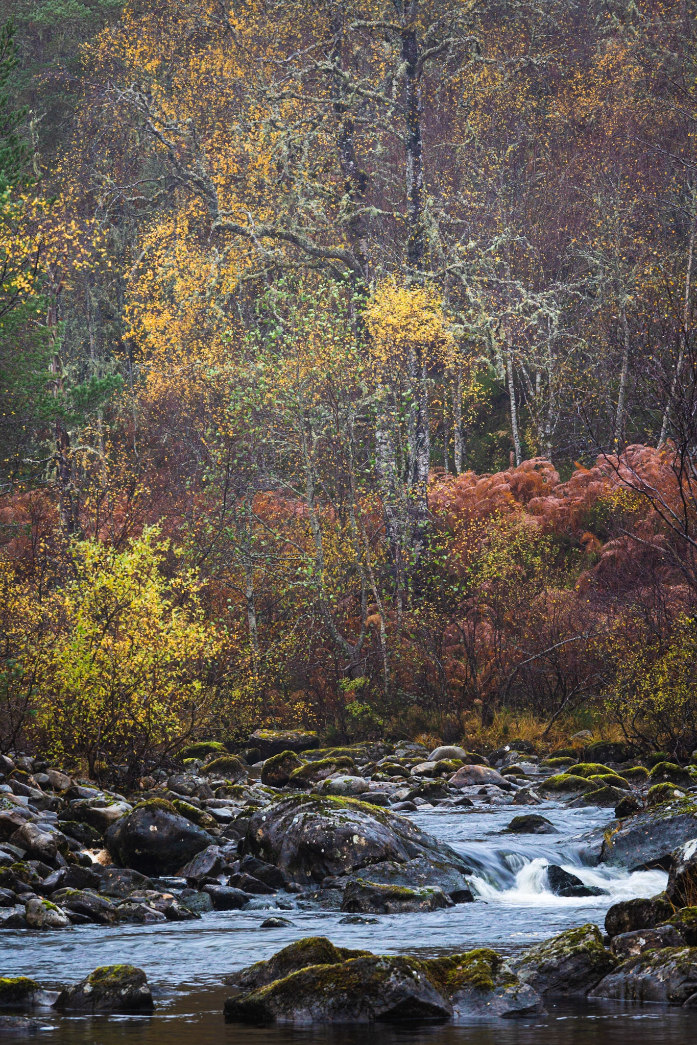 River Affric