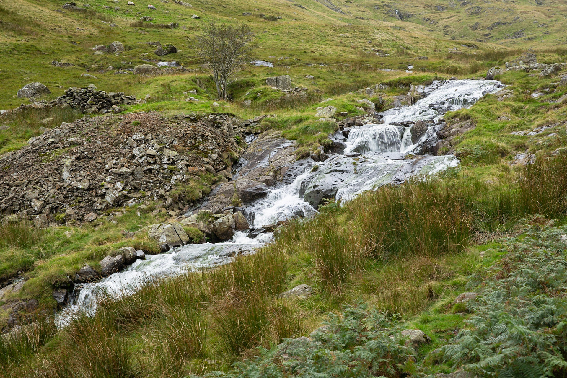 Kirkstone Beck -2