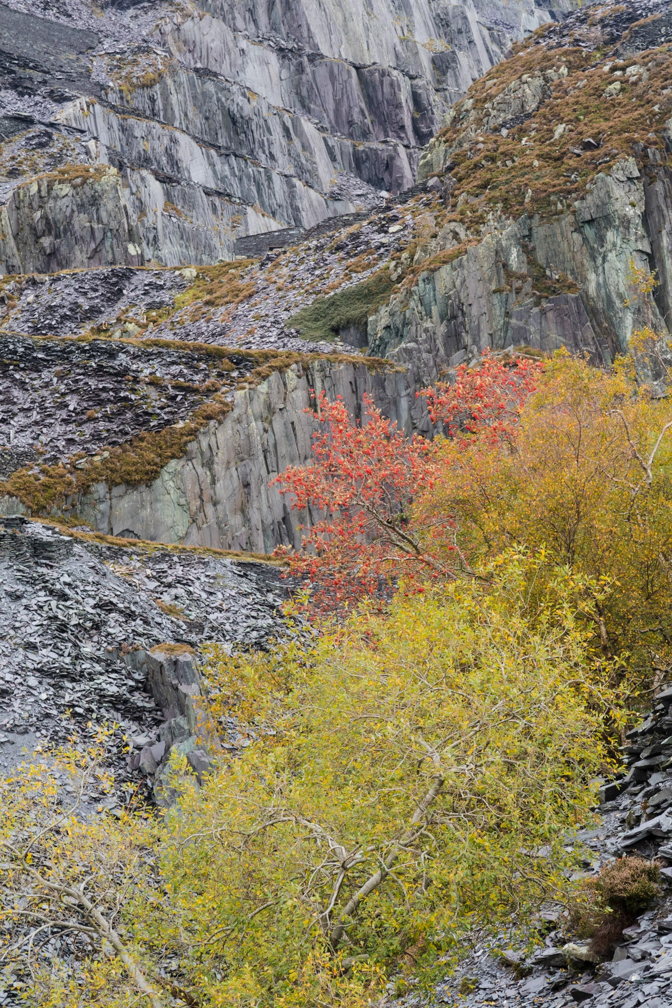 Dinorwic Quarry, Near Llanberis