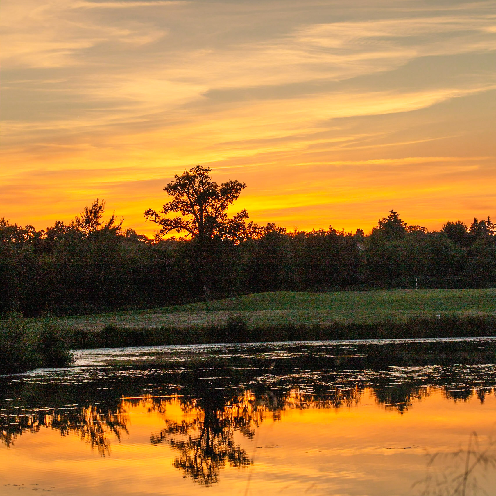 Evening Light - Setember