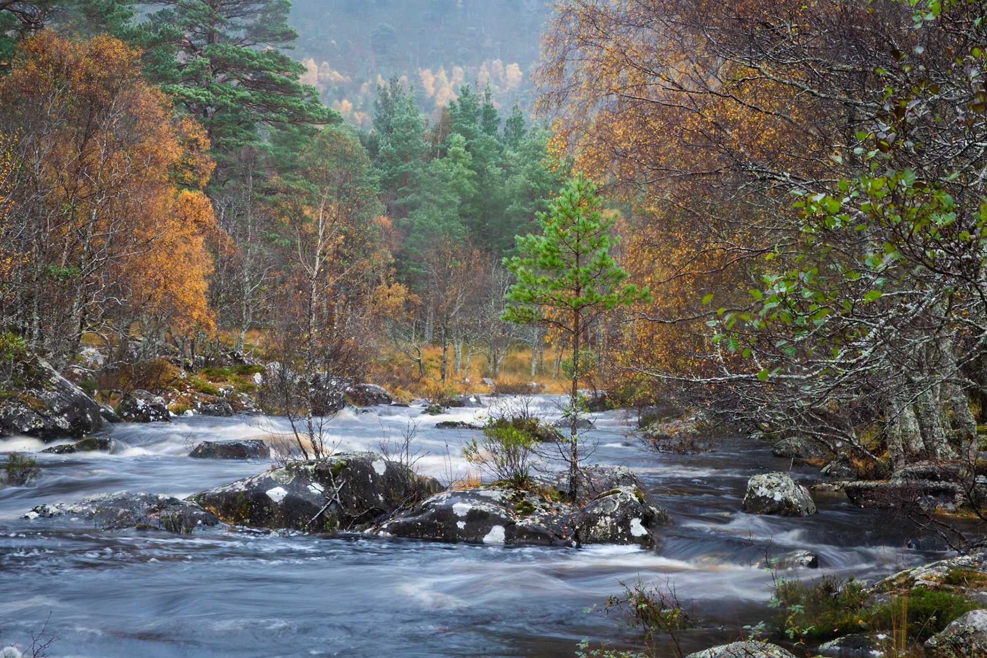 River Cannich