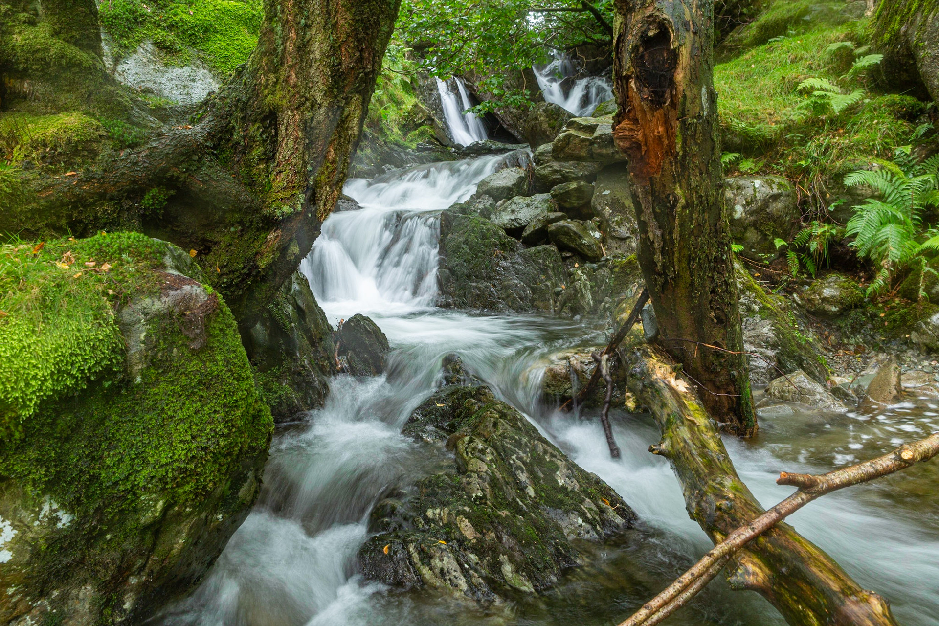 Dovedale in the rain ....