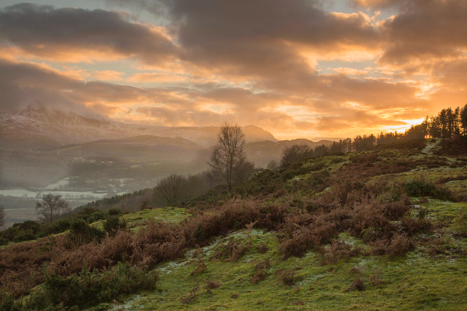 Above Llanelltyd looking at Cadr Idris near Llyn Tan y Graig