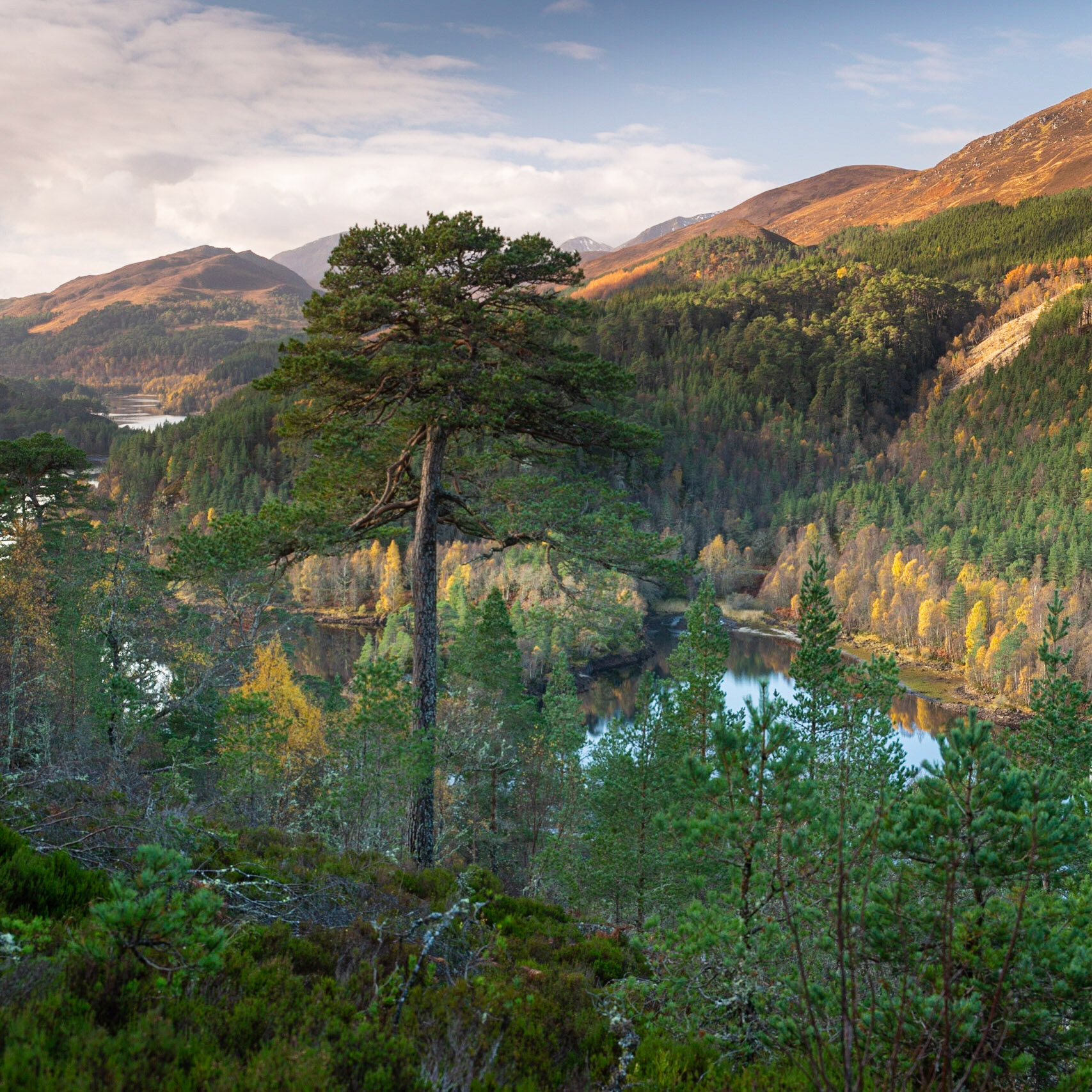 Looking into Loch Affric