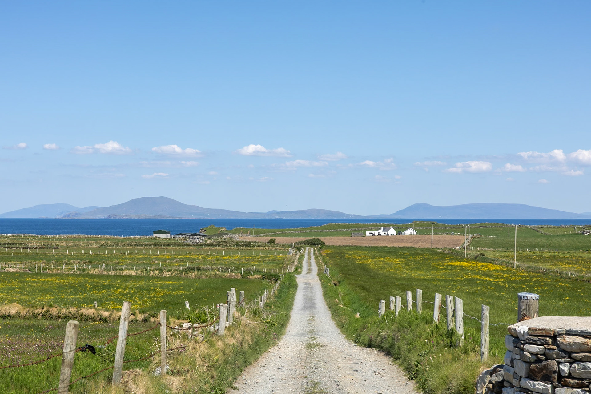 Inish Turk from Renvyle