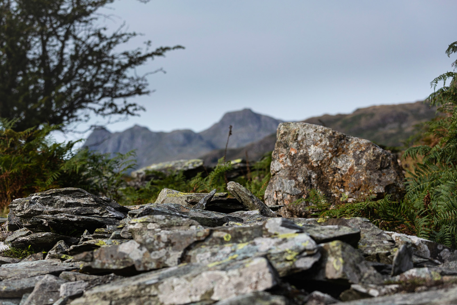 Slate spoil - Langdales in background