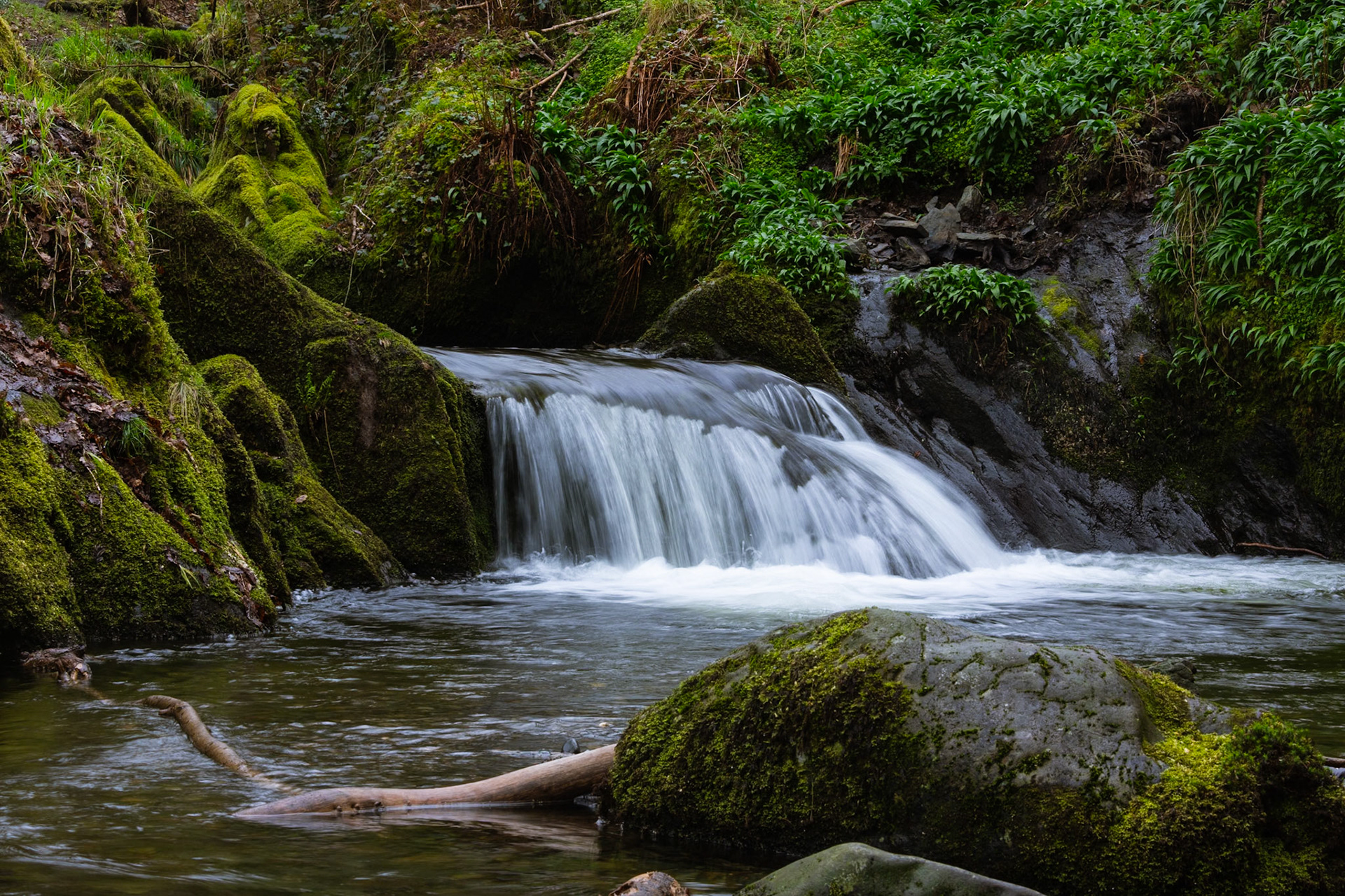 Dolgoch Falls