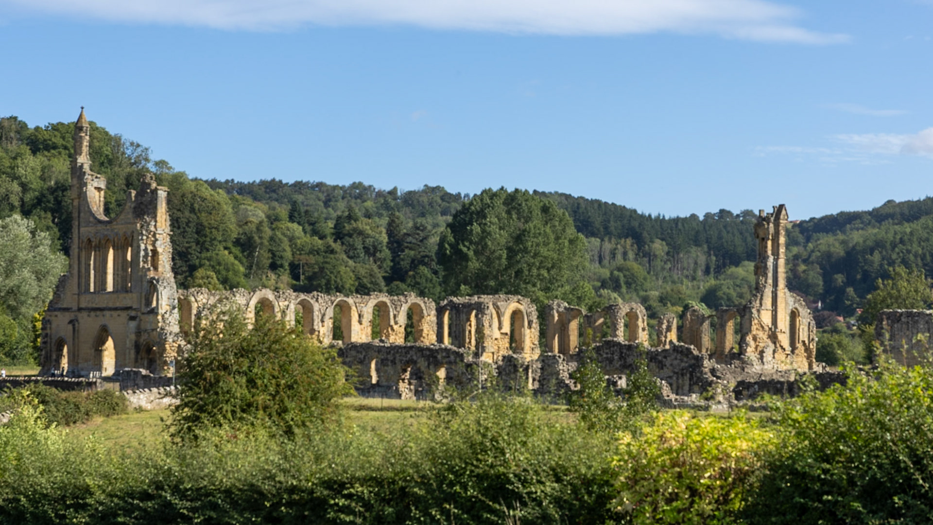 Byland abbey