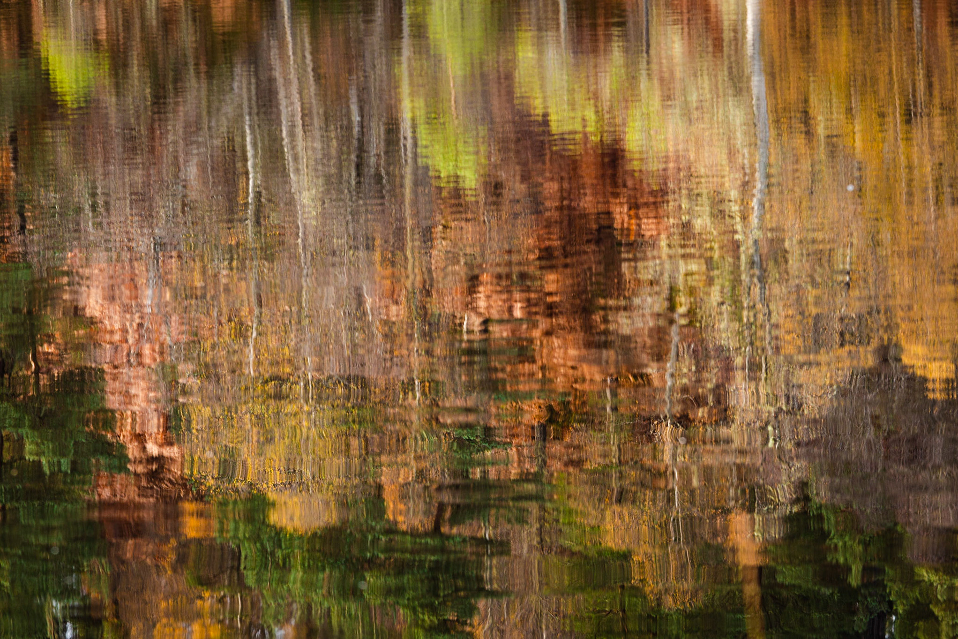 Reflections on Coire Loch, Glen Affric