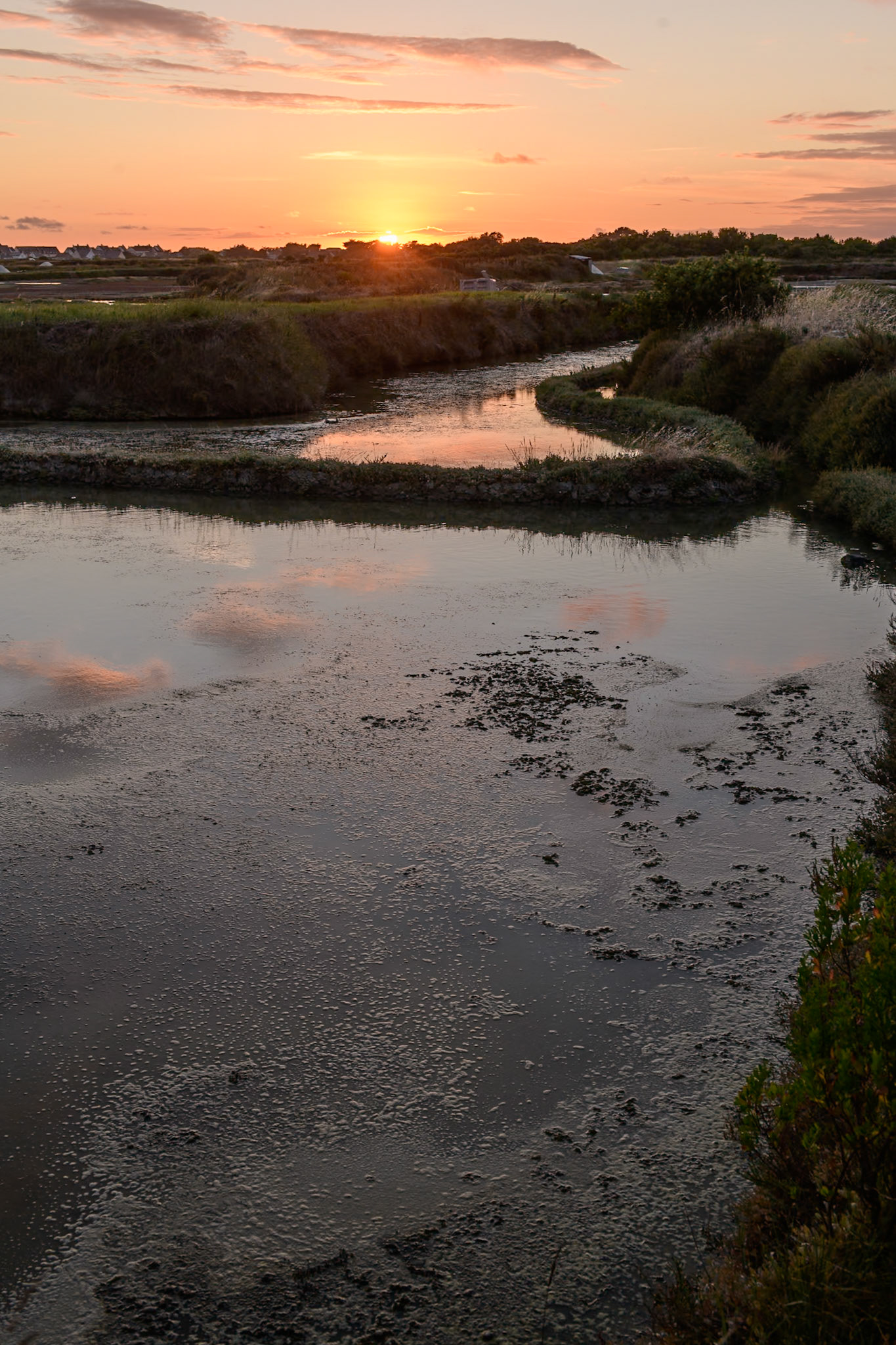 Marais salant de Mesquer