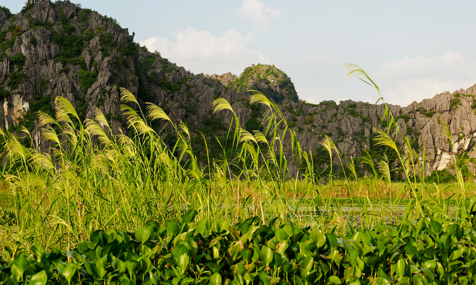 Nimh Binh - Baie d'Halong terreste
