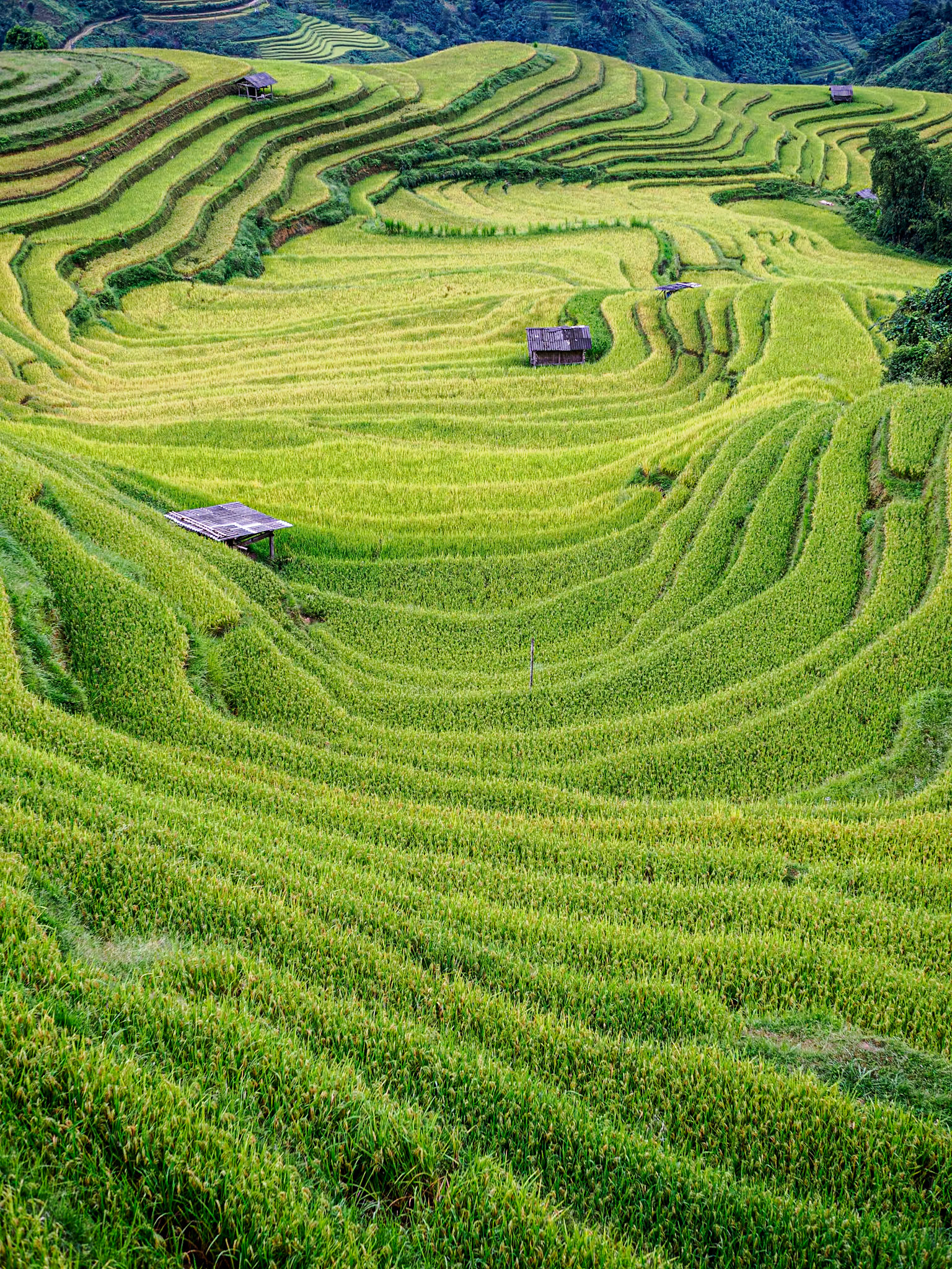 Lao Caï - District de Bâo Yën