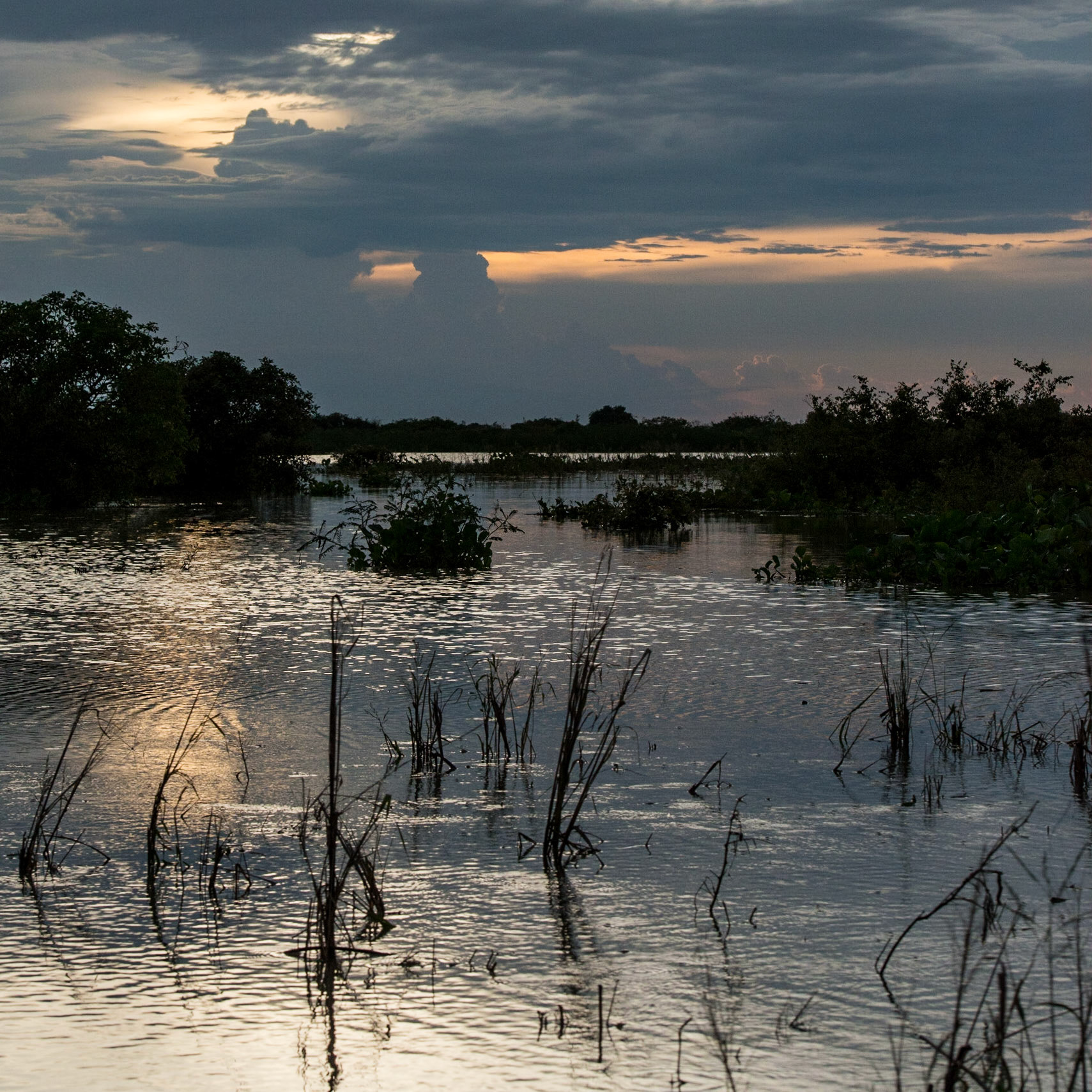 Tonlé Sap - Cambodge