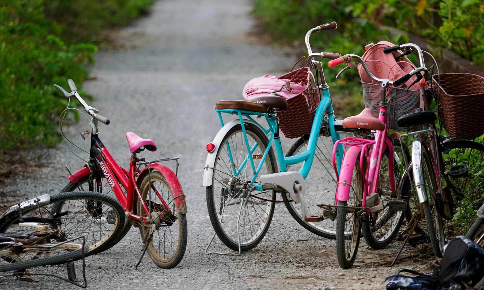 Nimh Binh - Baie d'Halong terreste