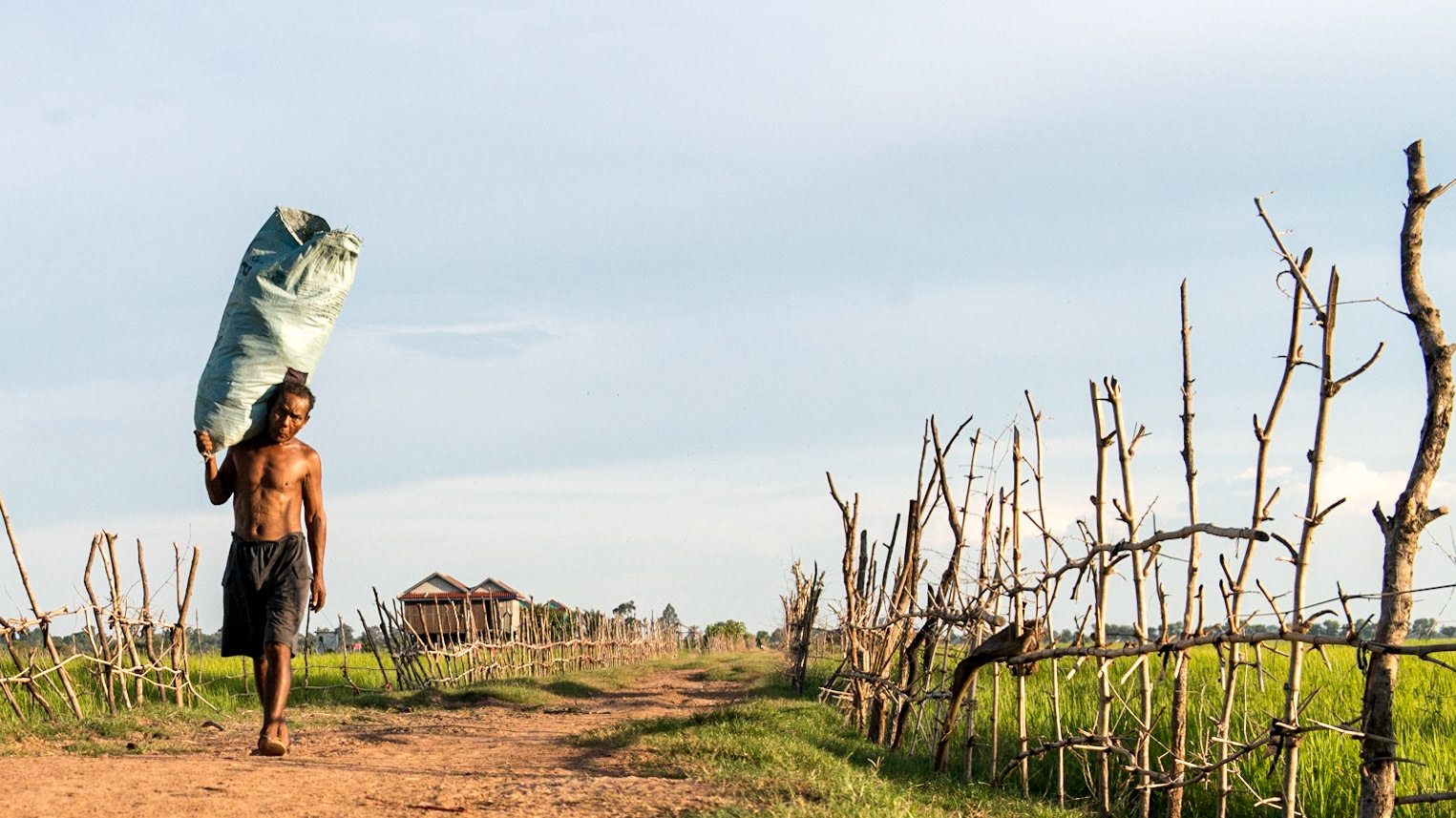 Vie à la campagne - Cambodge
