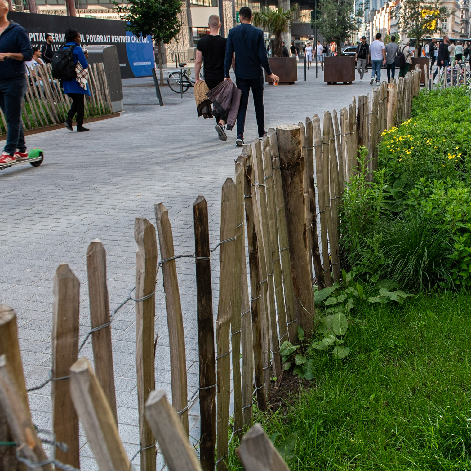 Nature en cage (Bruxelles)