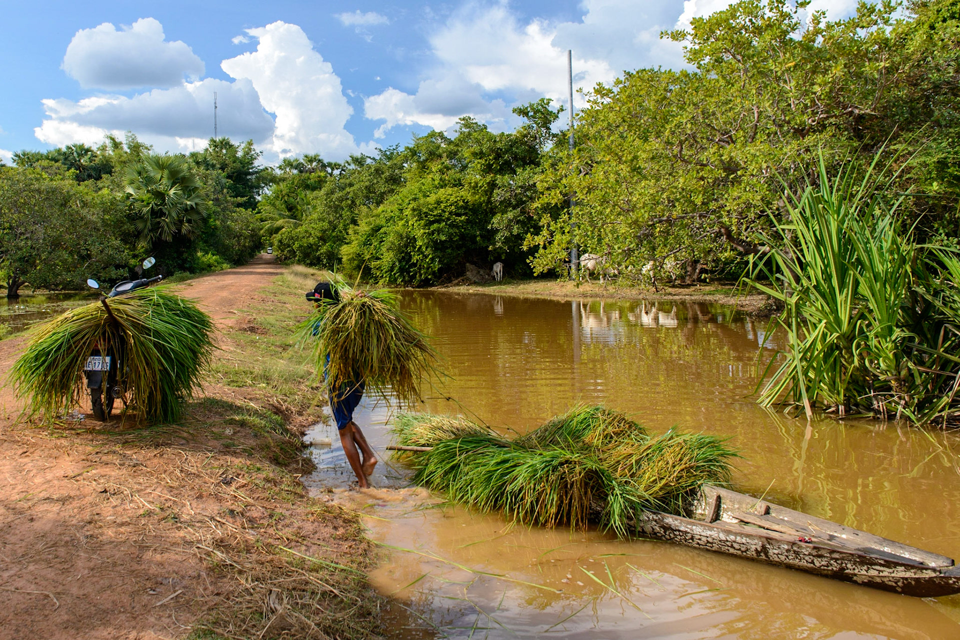 Vie à la campagne - Cambodge