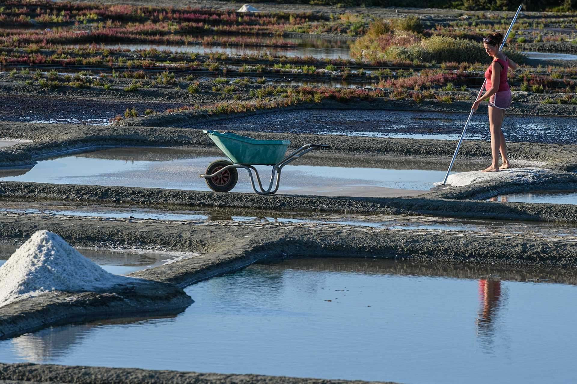 Collecte de la fleur de sel