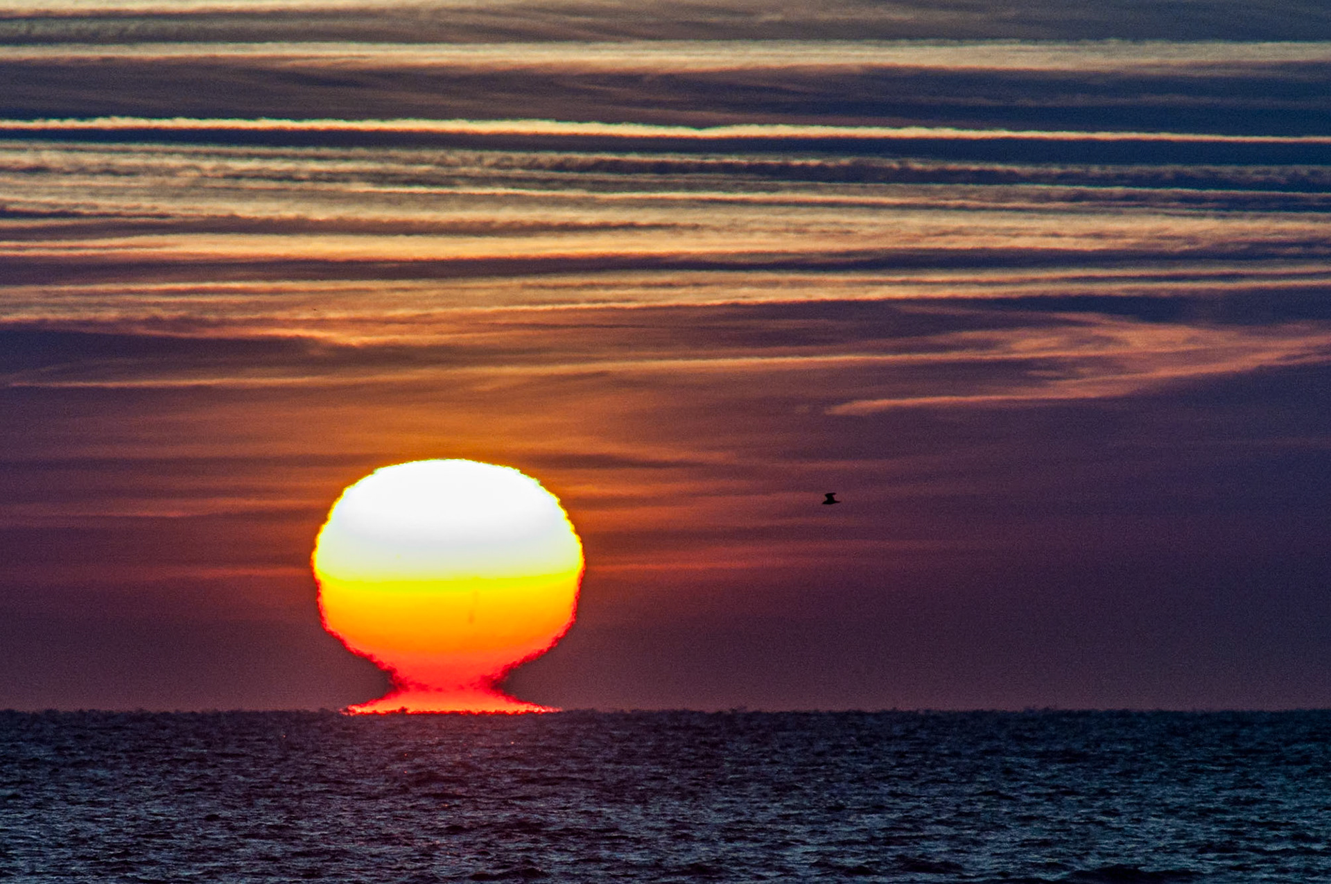 Baie de Quiberon (56)