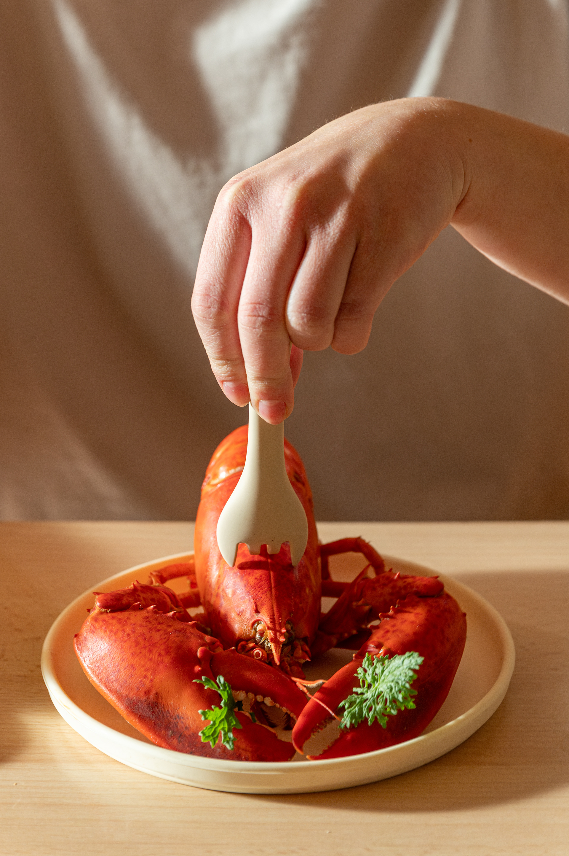 Le garçon au fusil - Raphaël Llobet