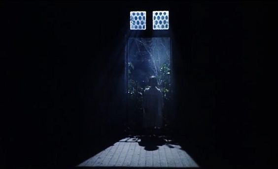 El espíritu de la colmena (1973)