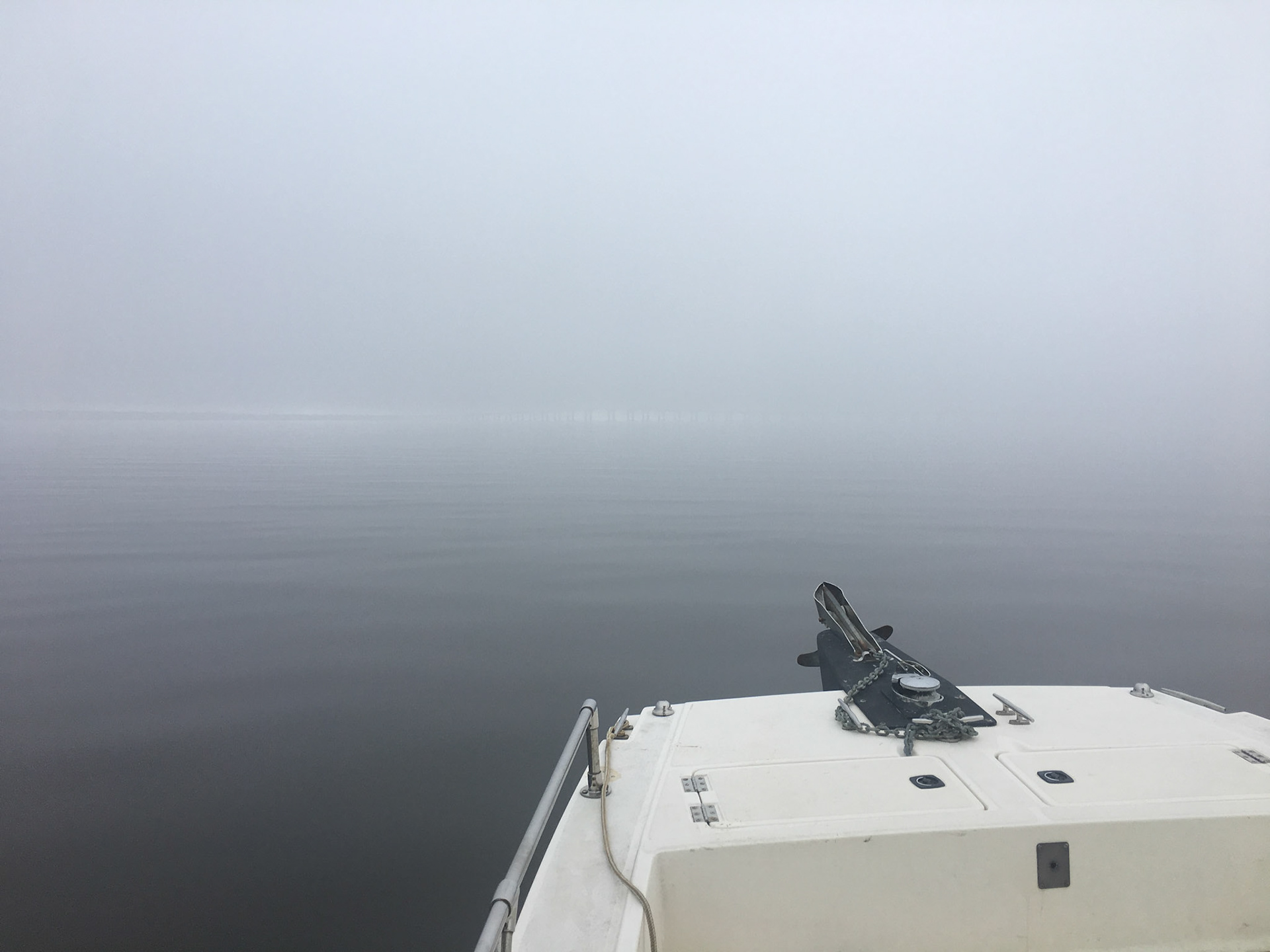 A little foggy today