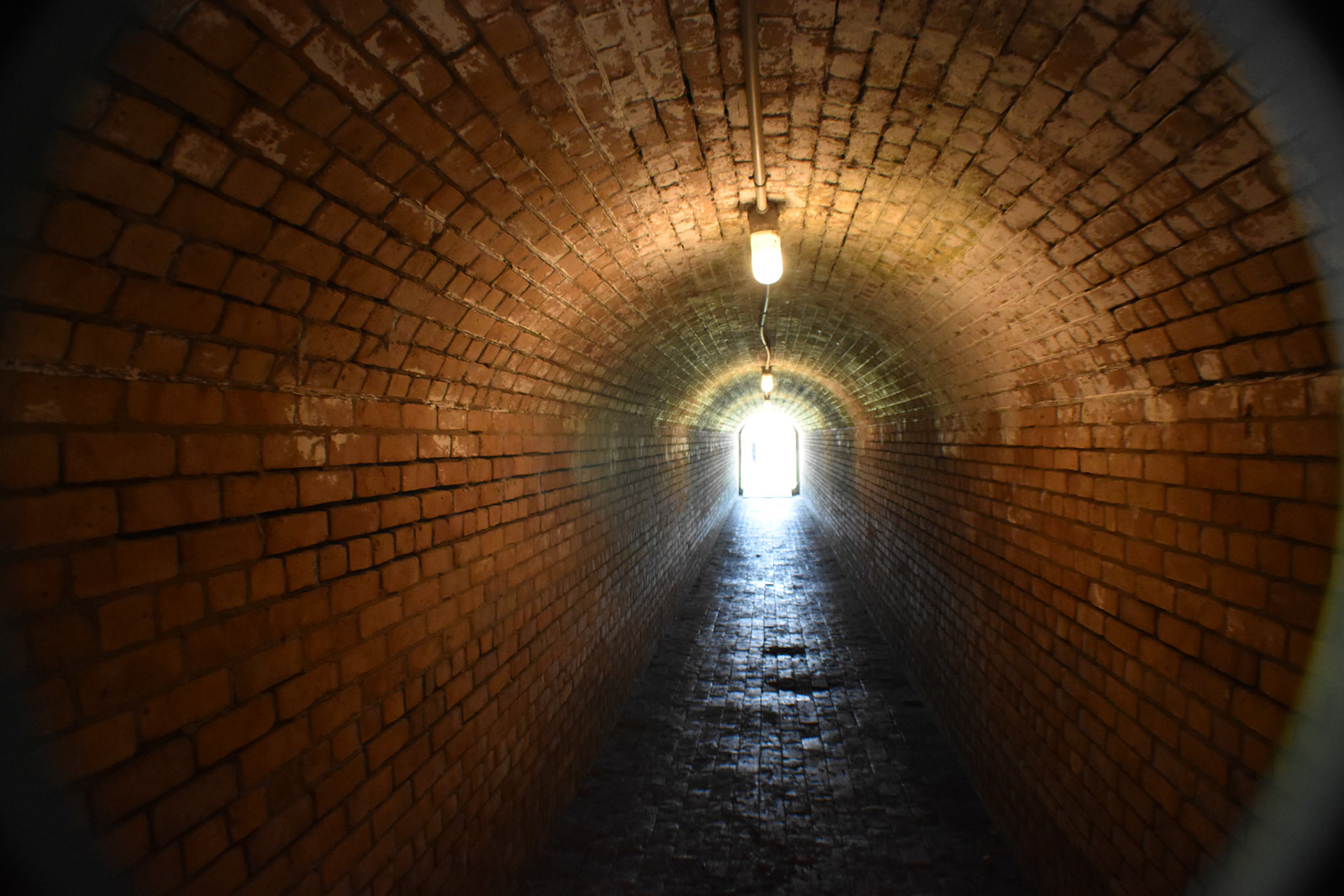 Arched tunnels between gun emplacements