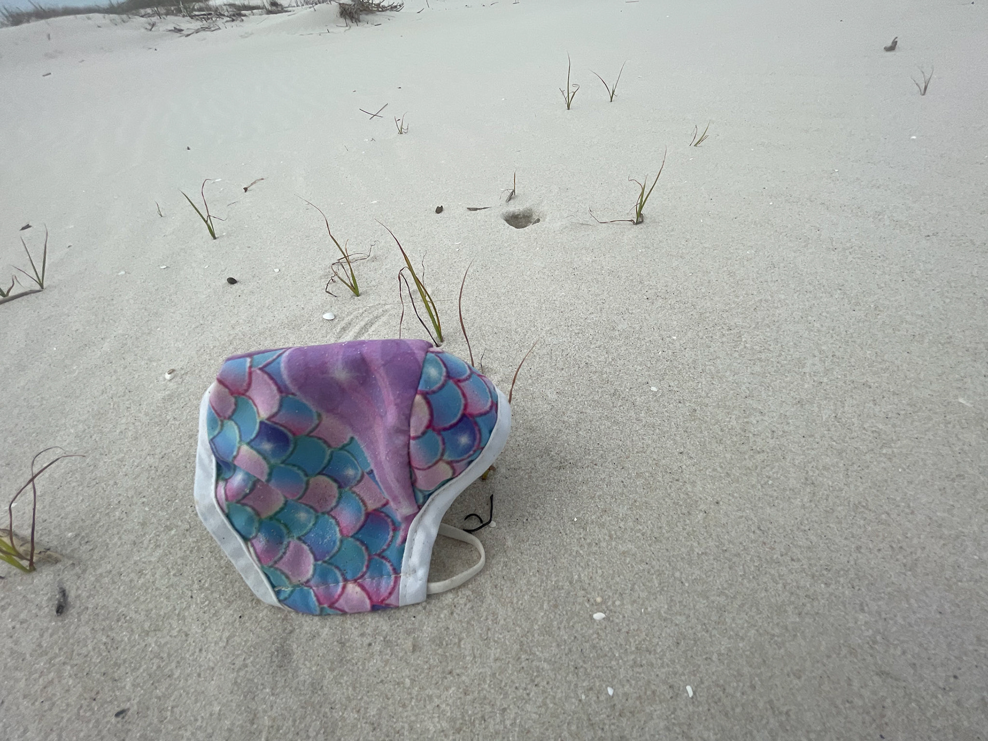 Mask Waste used as shelter by crabs