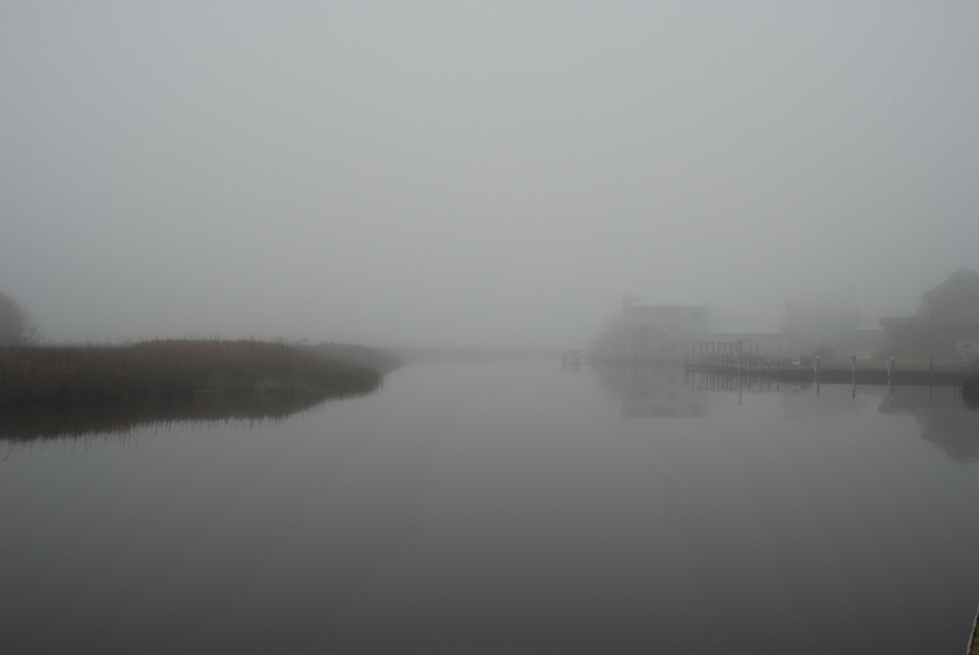 Fog