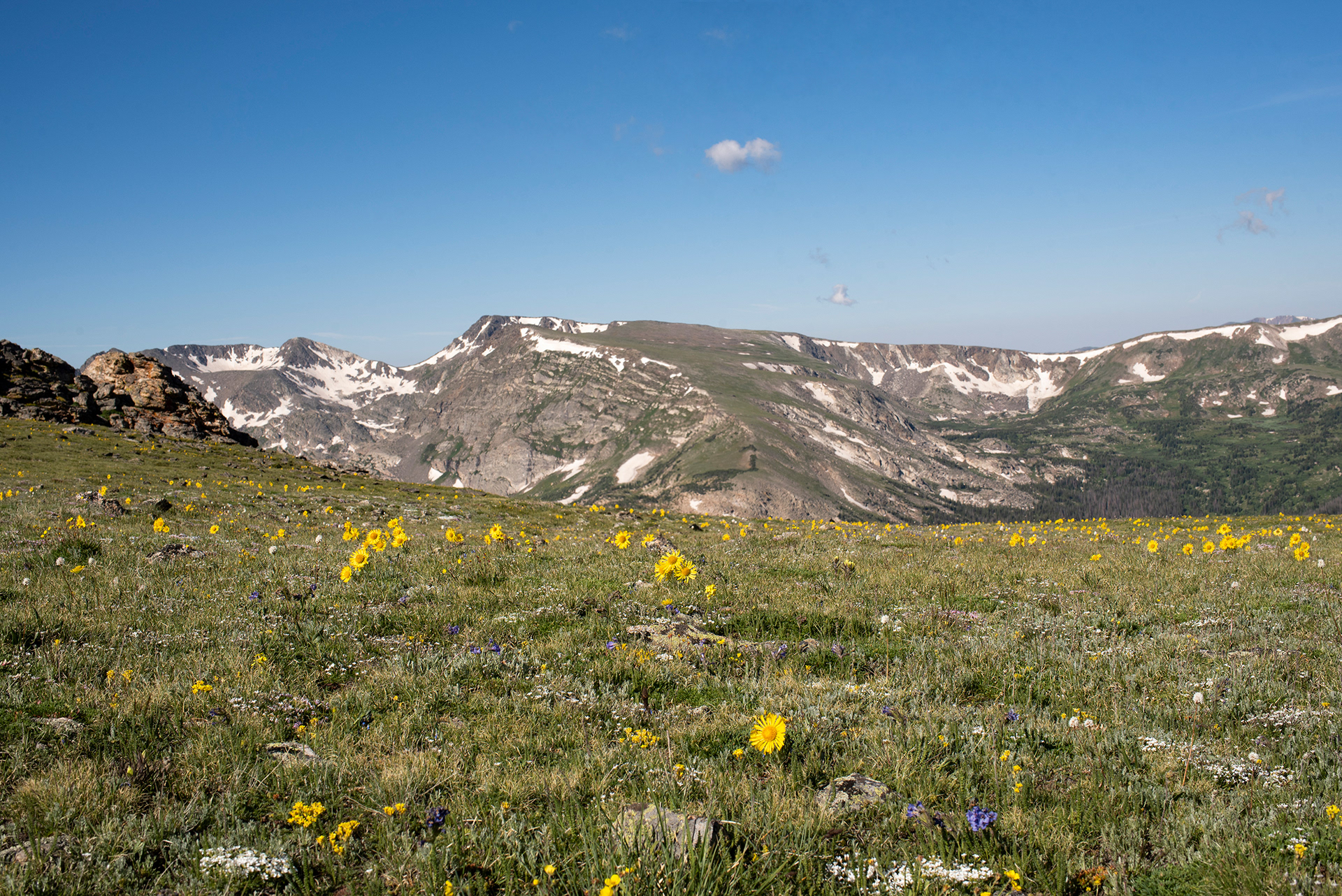 Rocky Mountain  Alpine