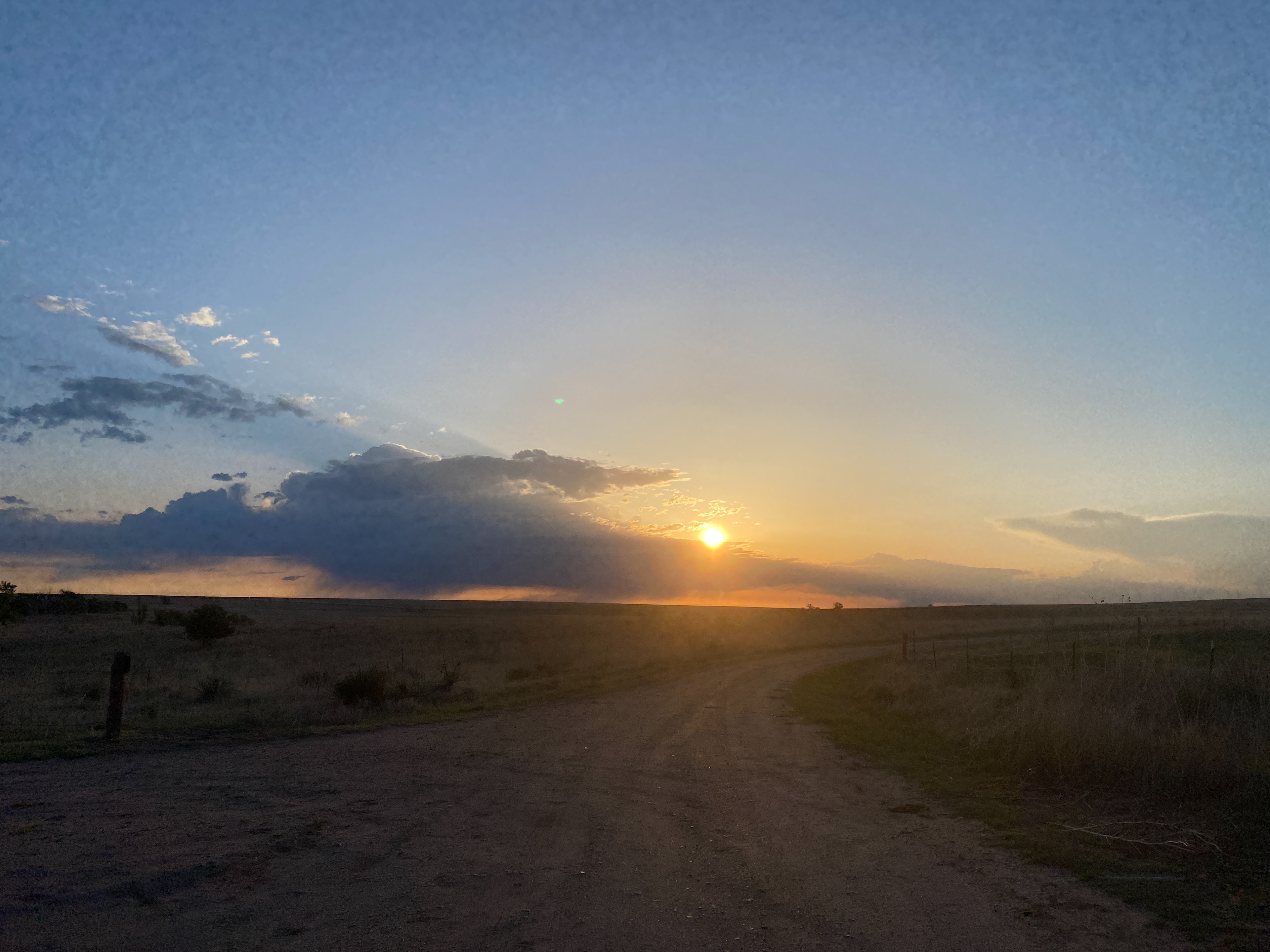 Somewhere out in the wild