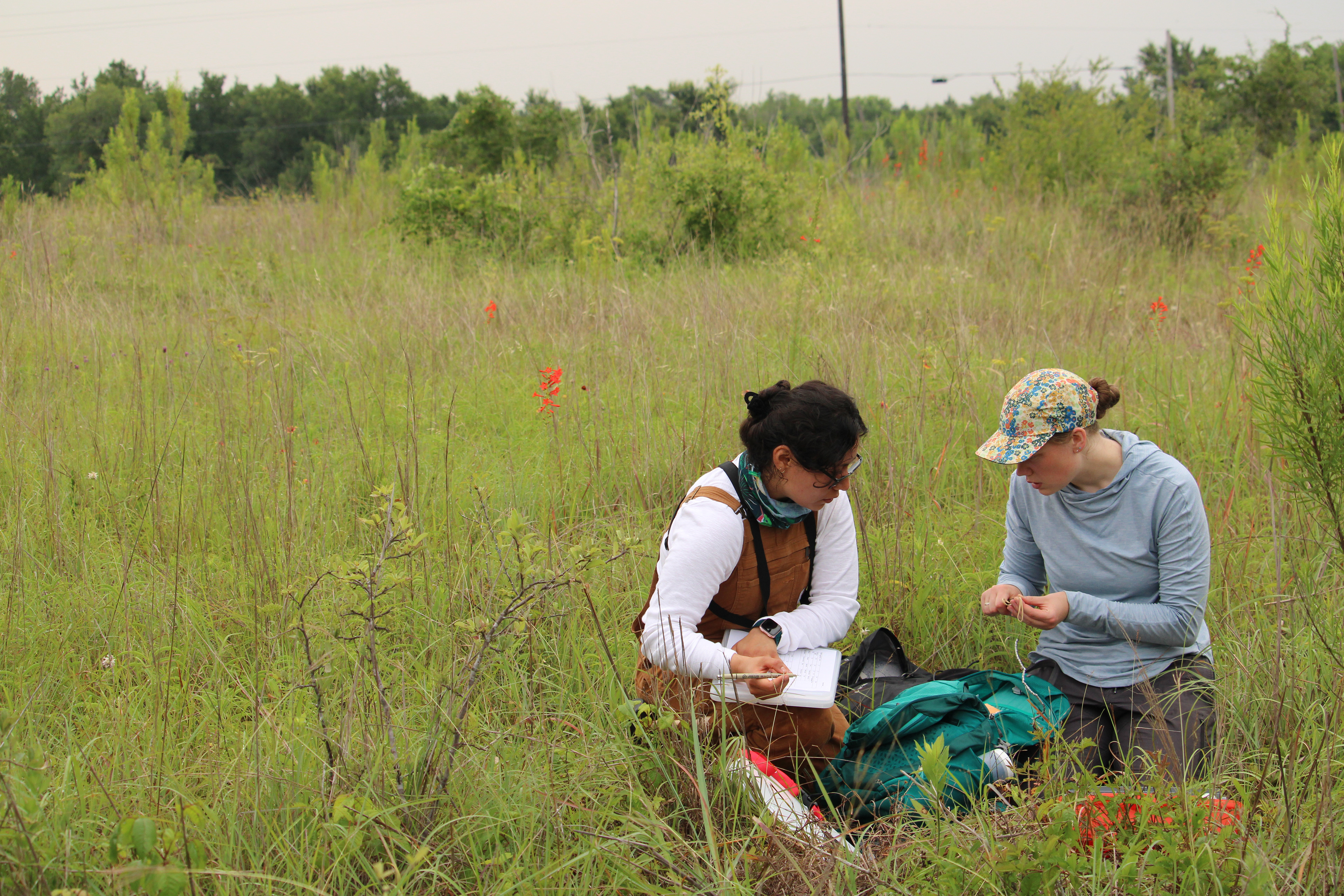 Anny Calderon and Johanna Beam setting up to band a Yellow-breasted Chat.
