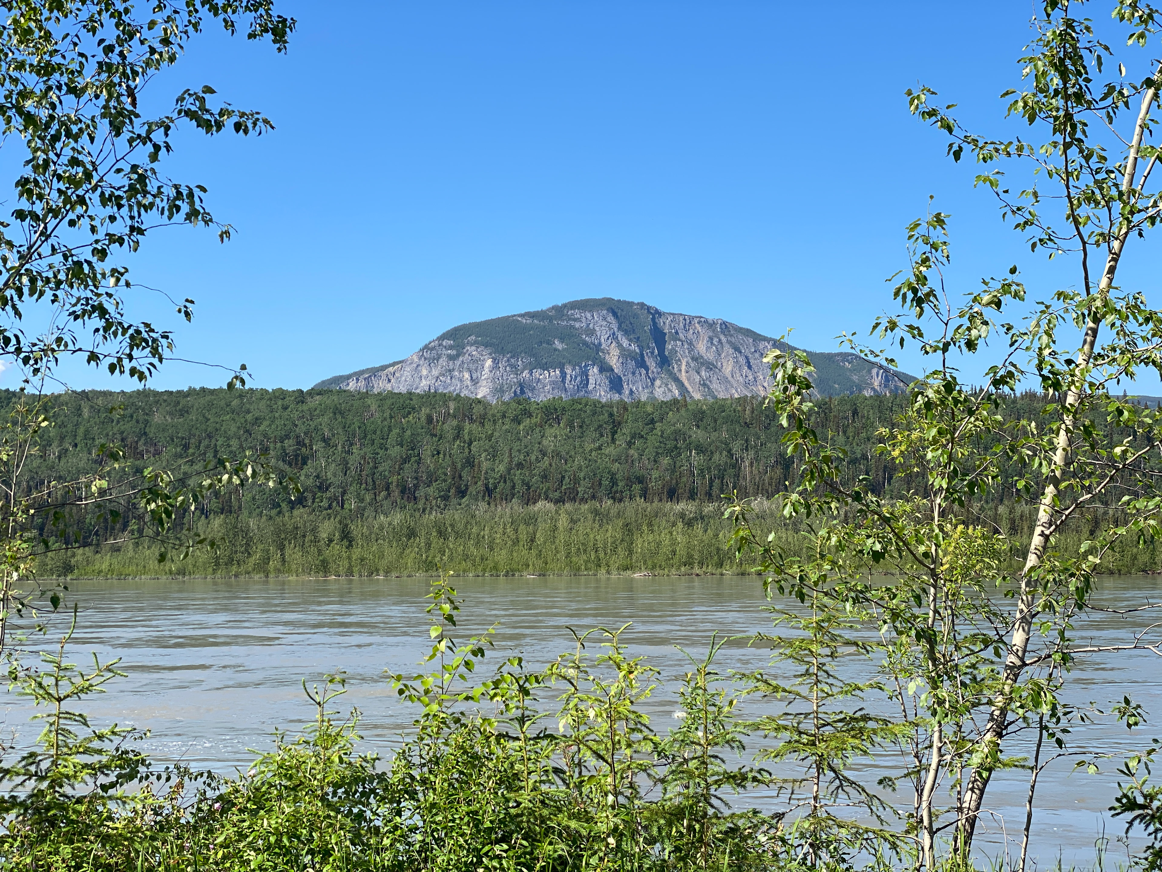 Field work in Canada