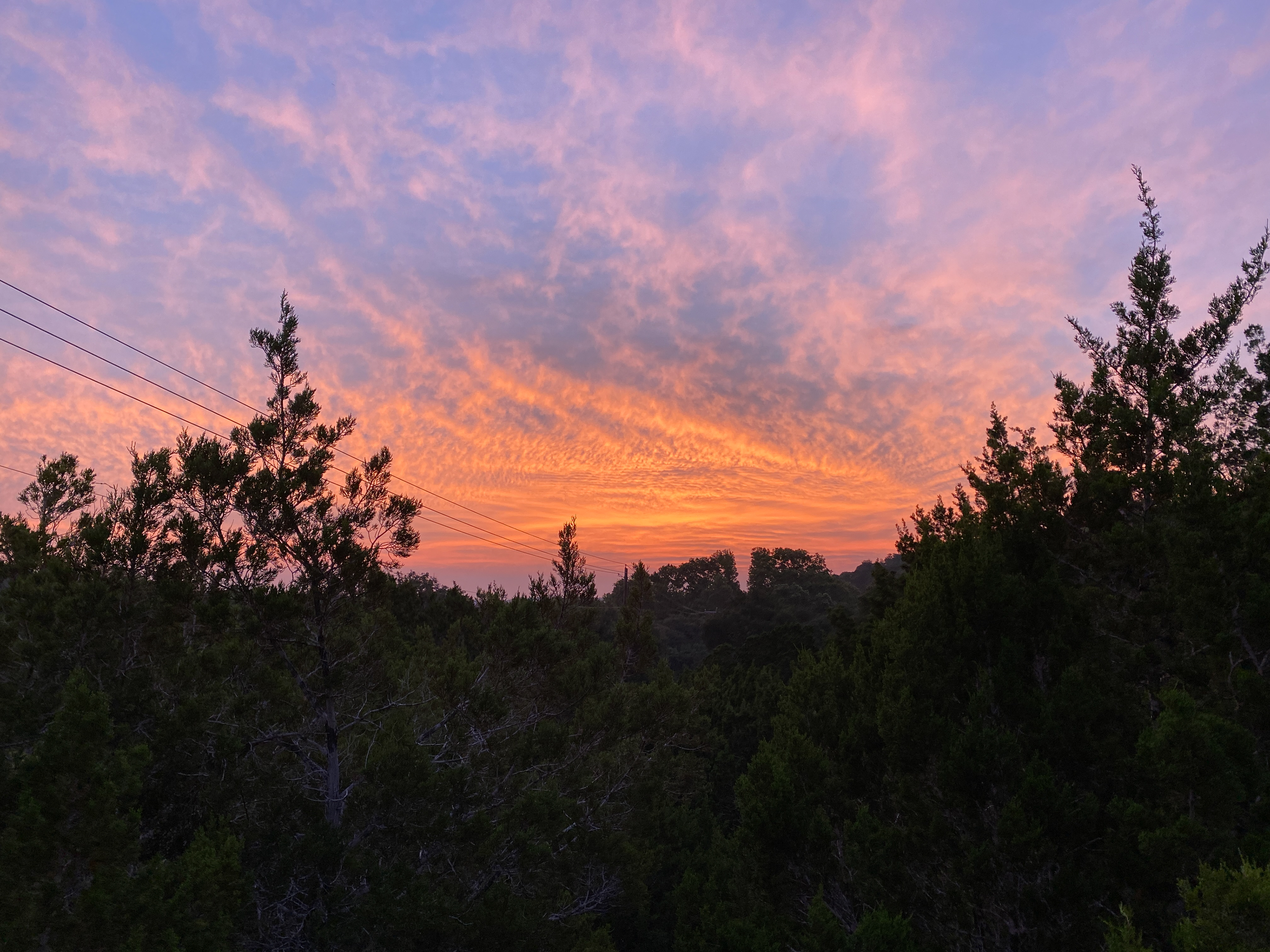 Early morning banding in Texas