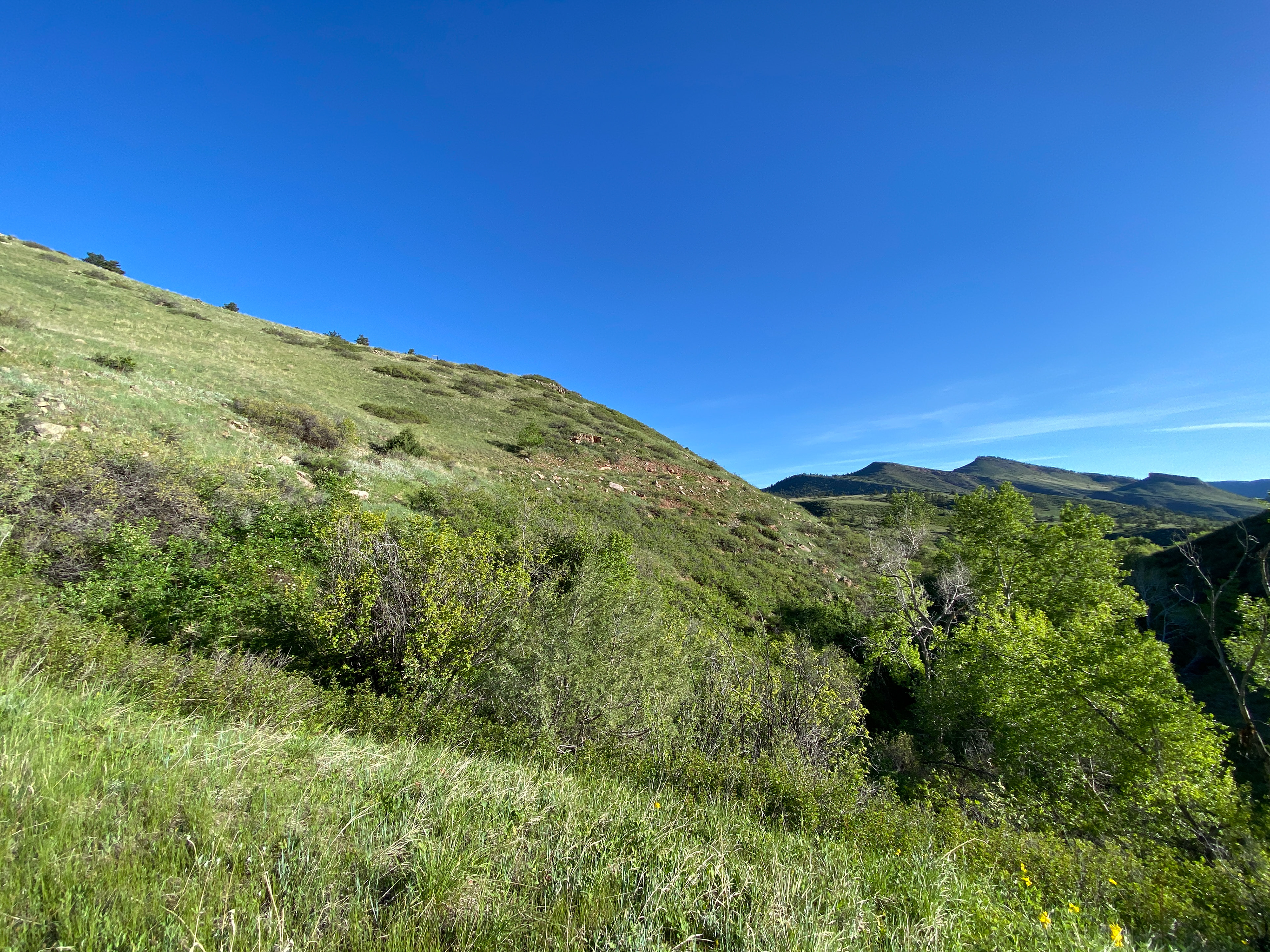 Front range foothills, Colorado