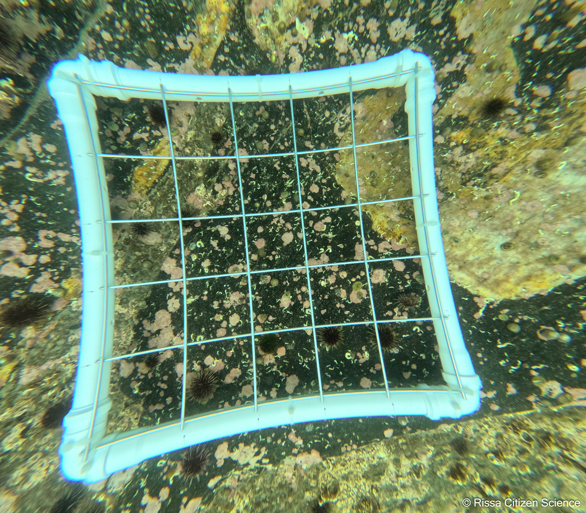 DCIM\100GOPRO\GP011192.JPG
