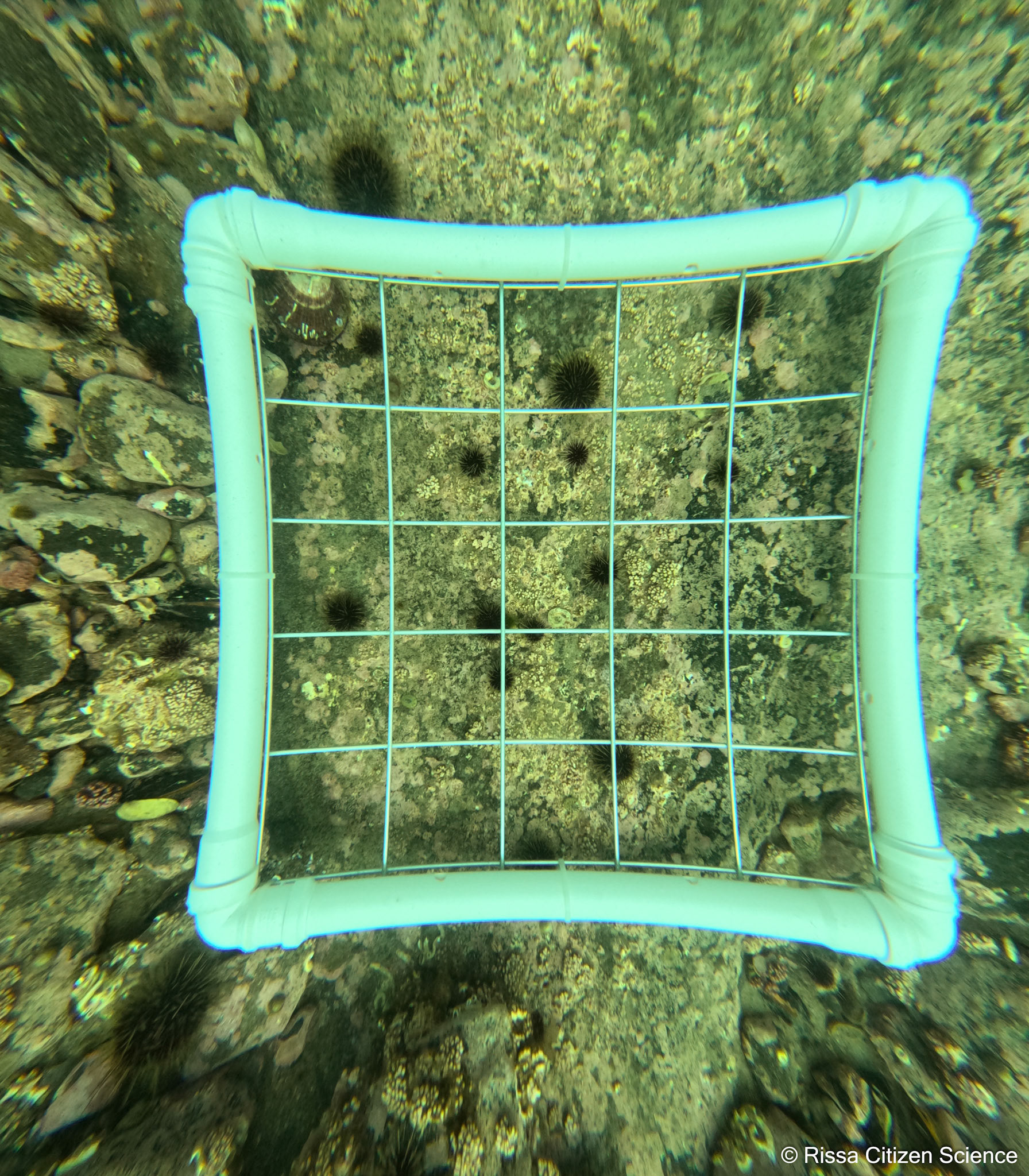 DCIM\100GOPRO\GP011147.JPG