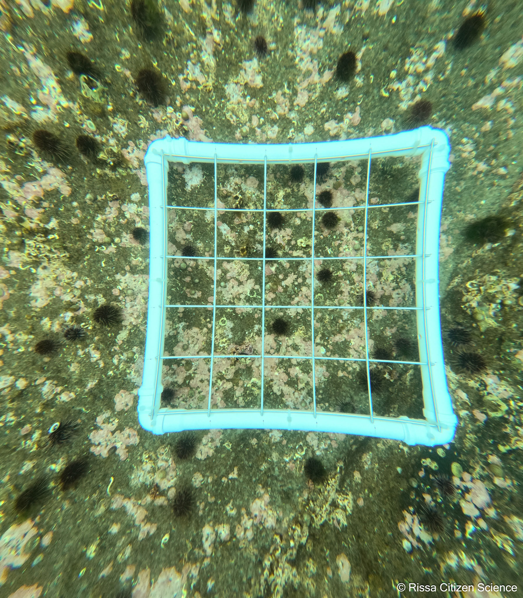 DCIM\100GOPRO\GP011117.JPG