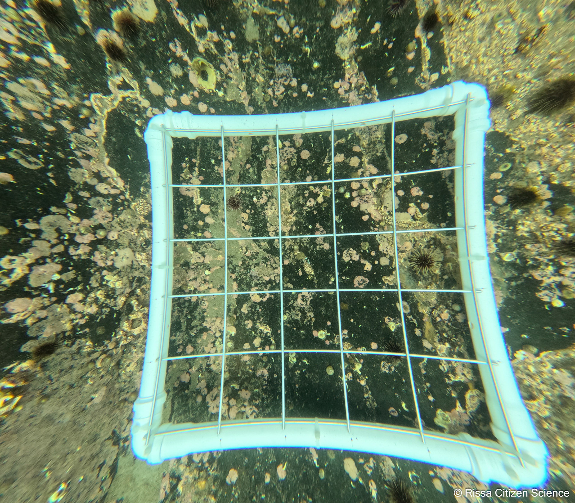 DCIM\100GOPRO\GP011158.JPG