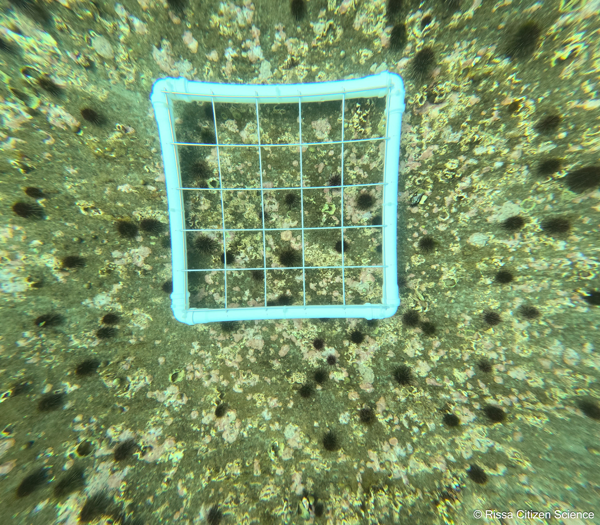 DCIM\100GOPRO\GP011217.JPG