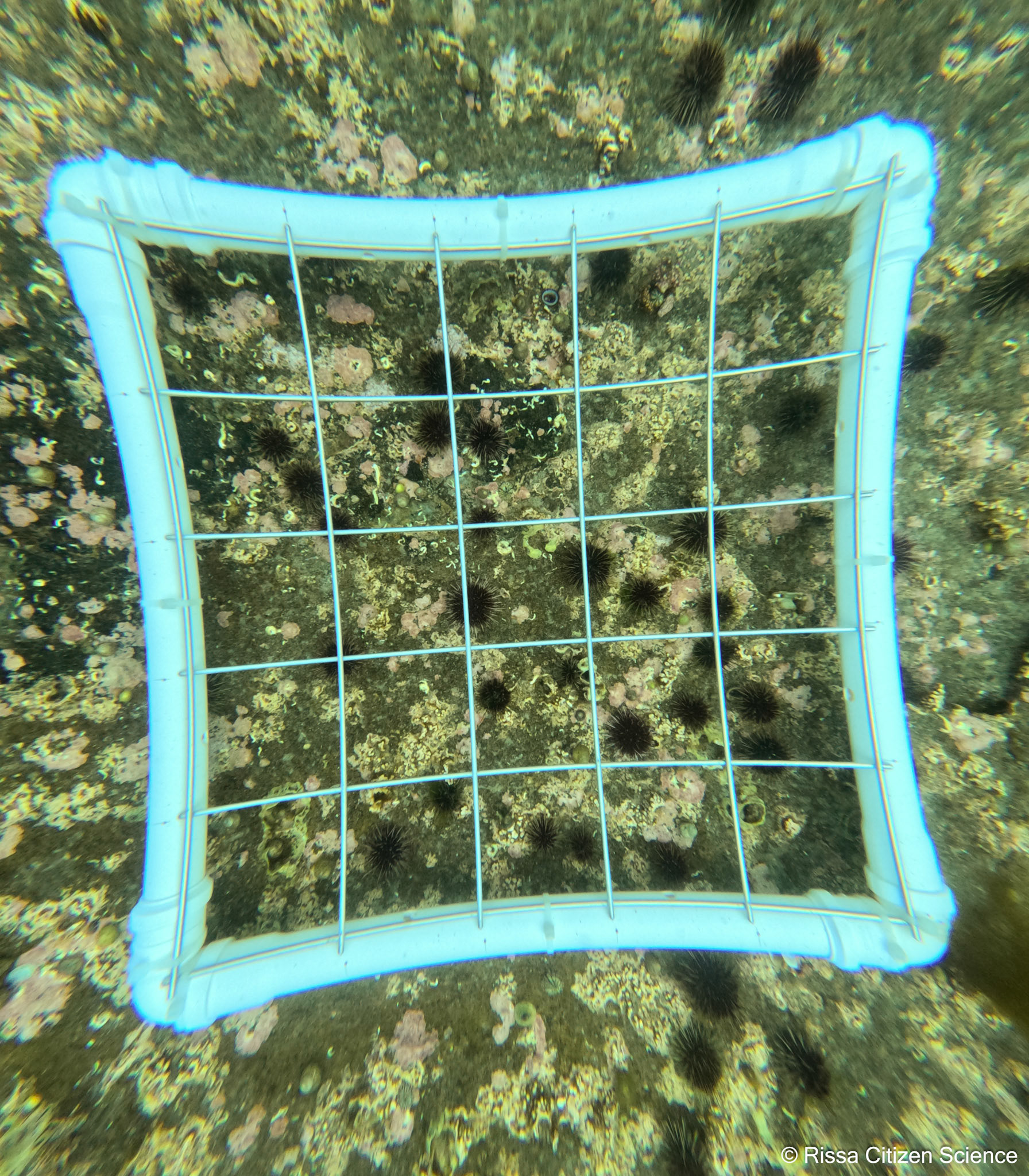 DCIM\100GOPRO\GP011183.JPG