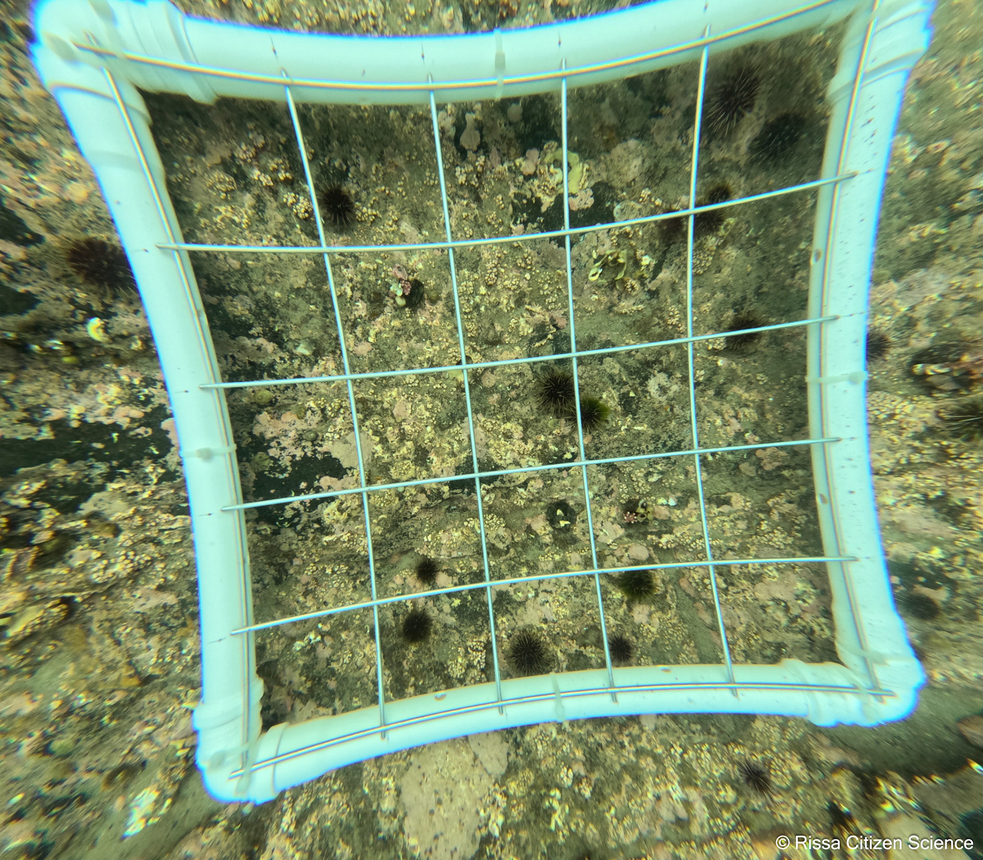 DCIM\100GOPRO\GP011154.JPG