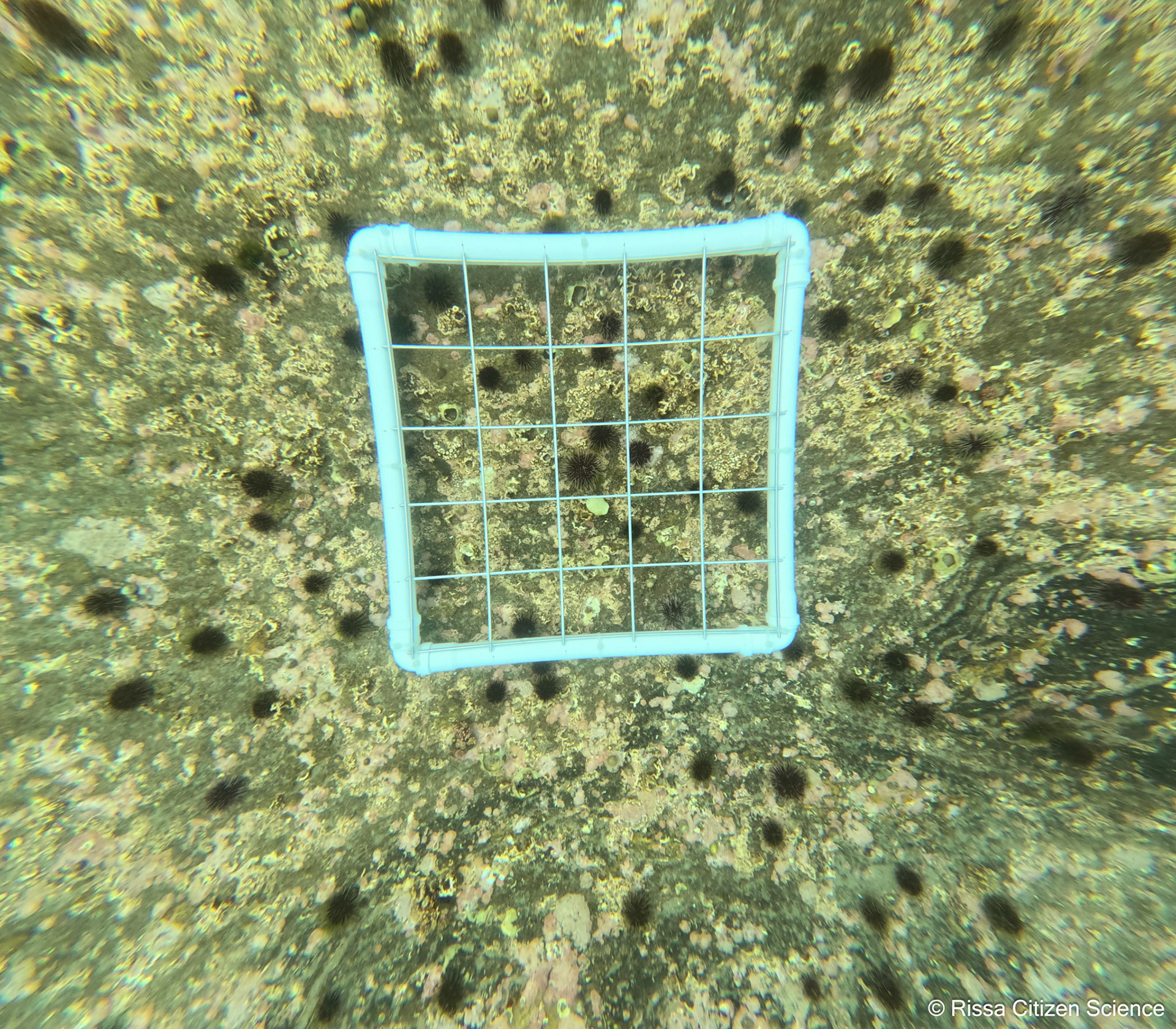 DCIM\100GOPRO\GP011222.JPG