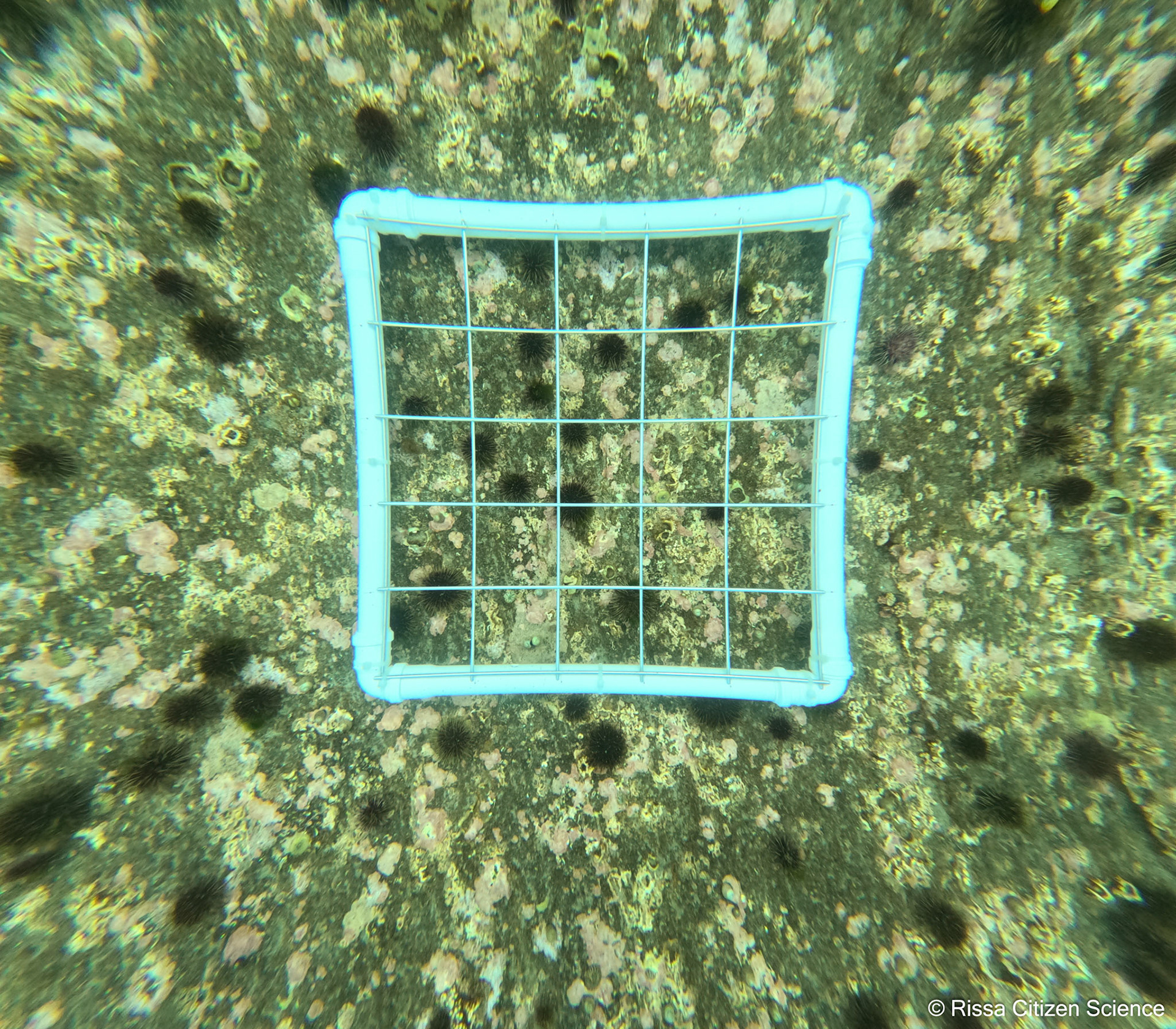 DCIM\100GOPRO\GP011215.JPG