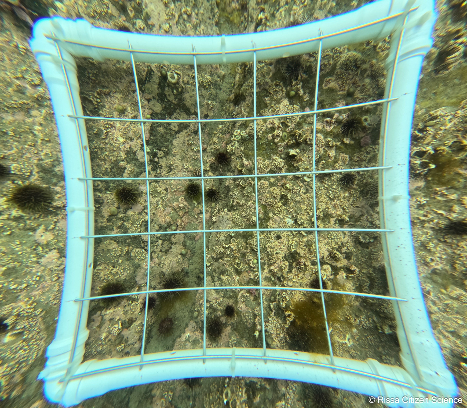 DCIM\100GOPRO\GP011166.JPG
