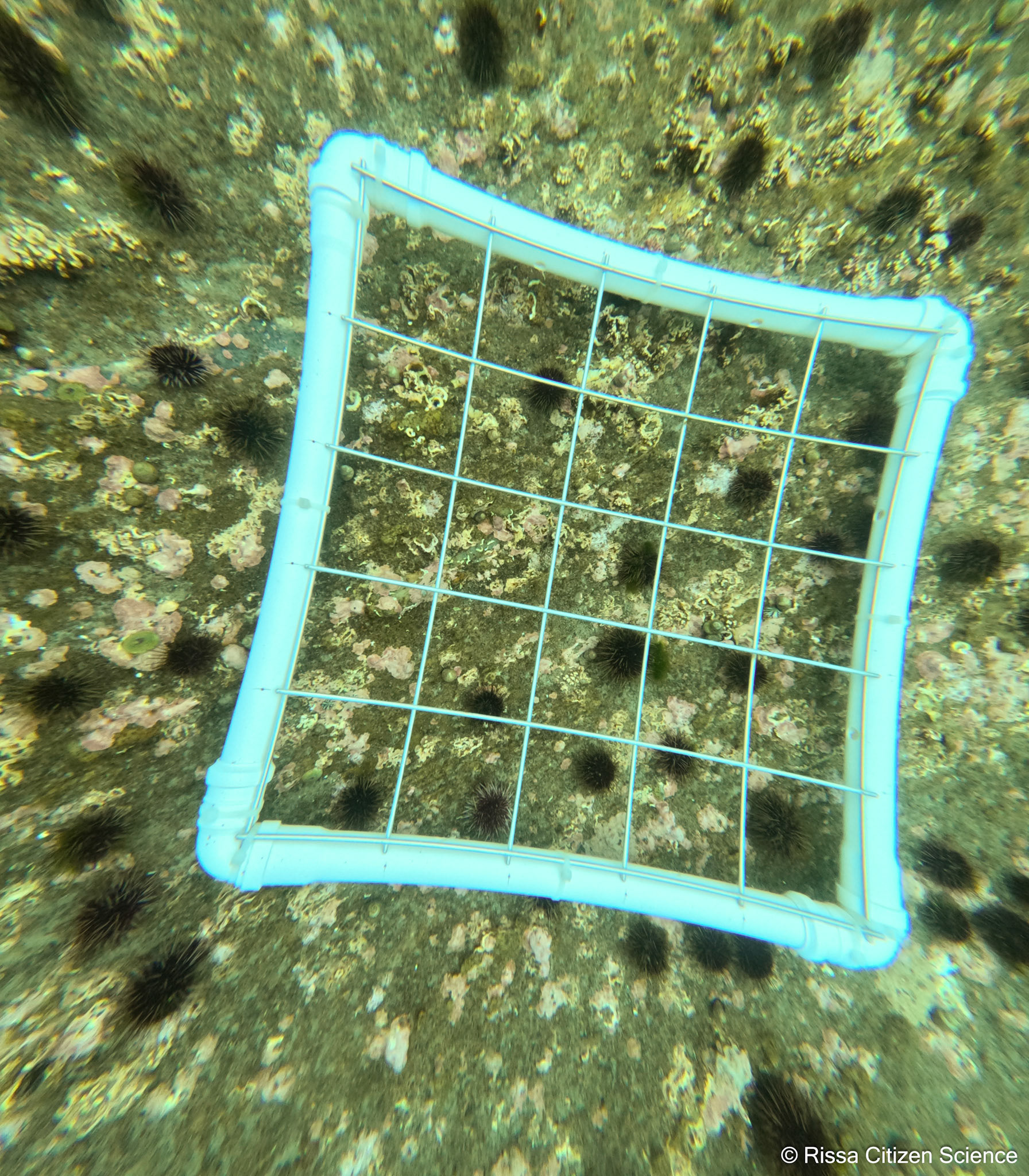 DCIM\100GOPRO\GP011112.JPG