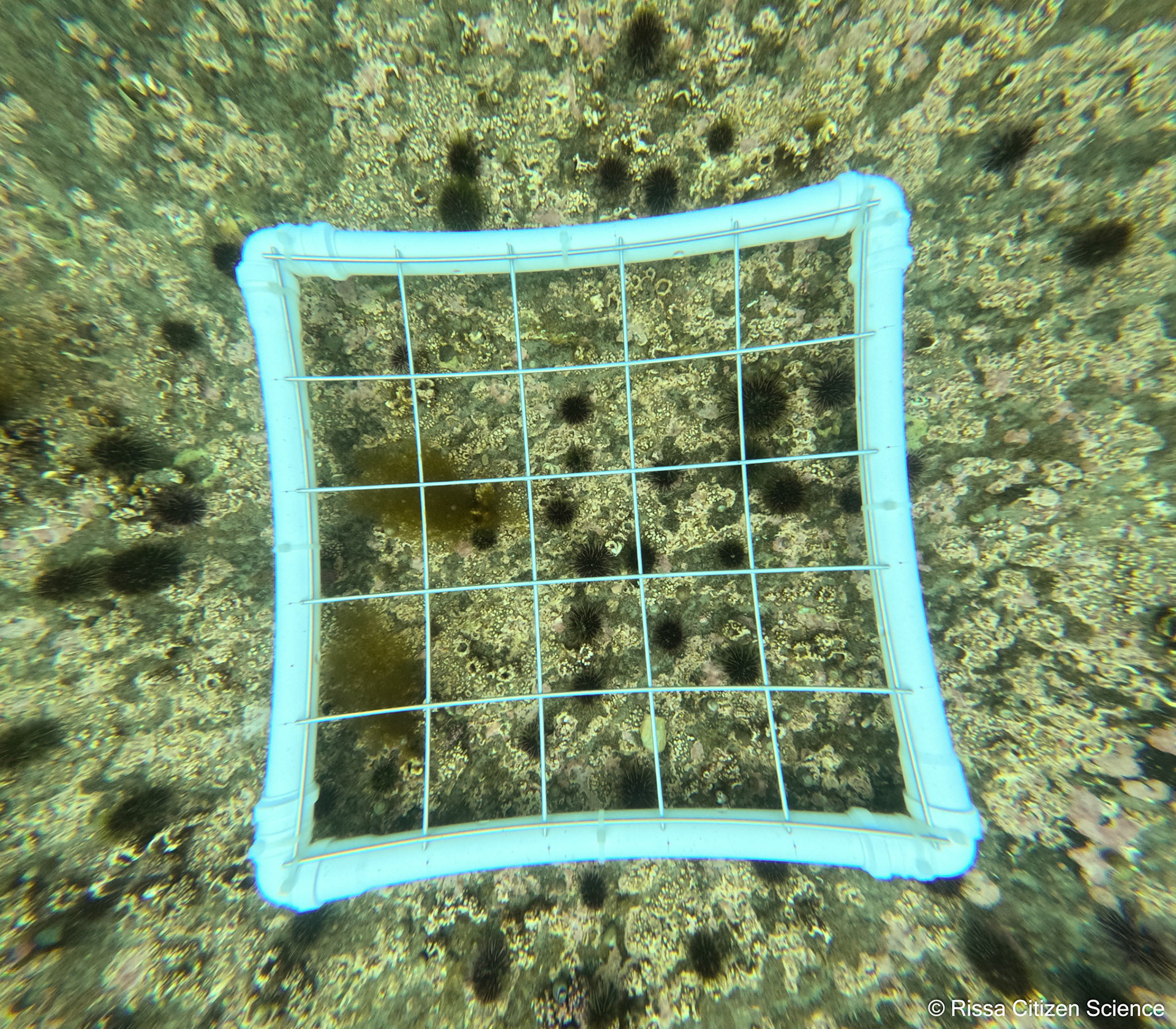 DCIM\100GOPRO\GP011200.JPG